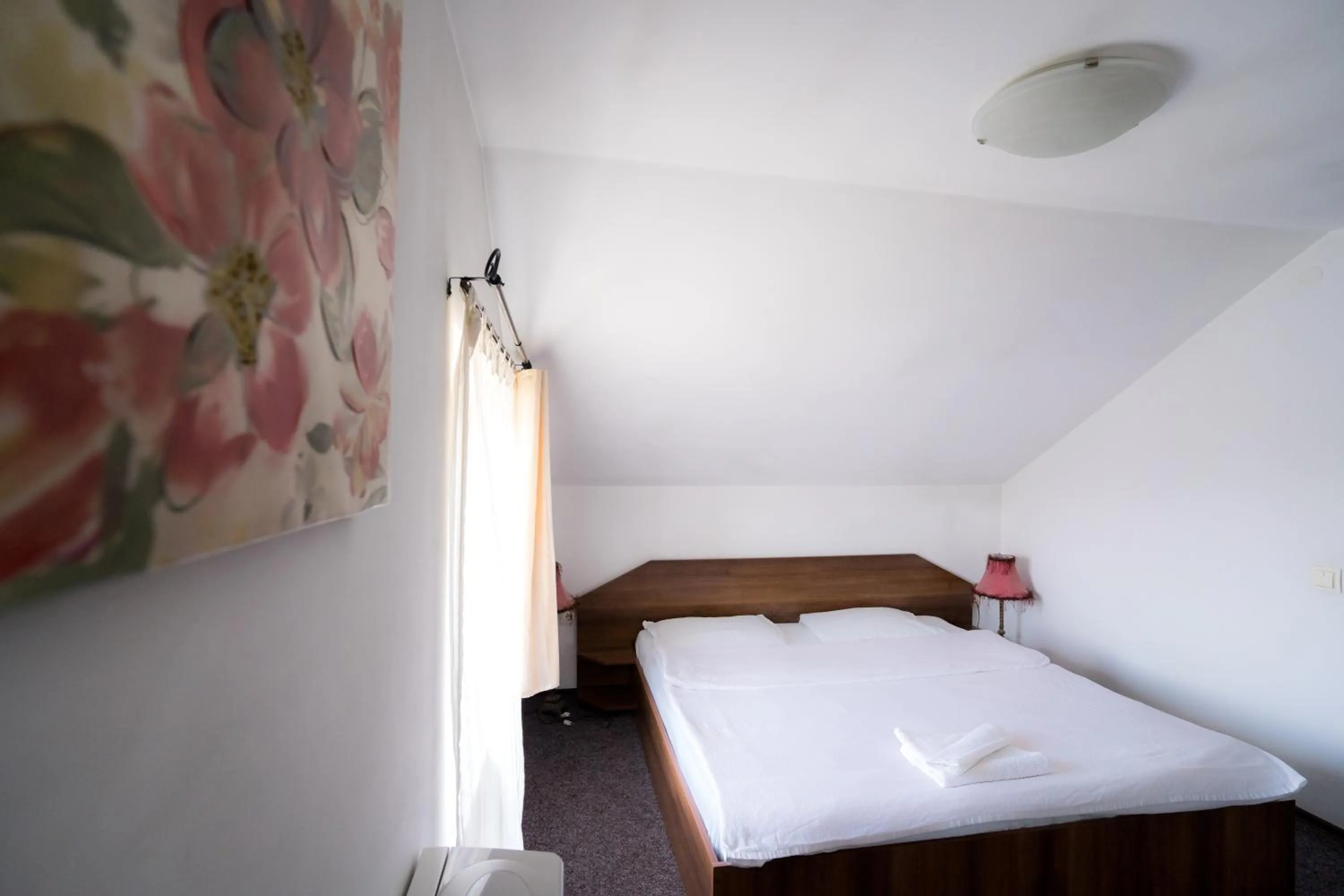 Bed in Pensiunea Dacia Deva