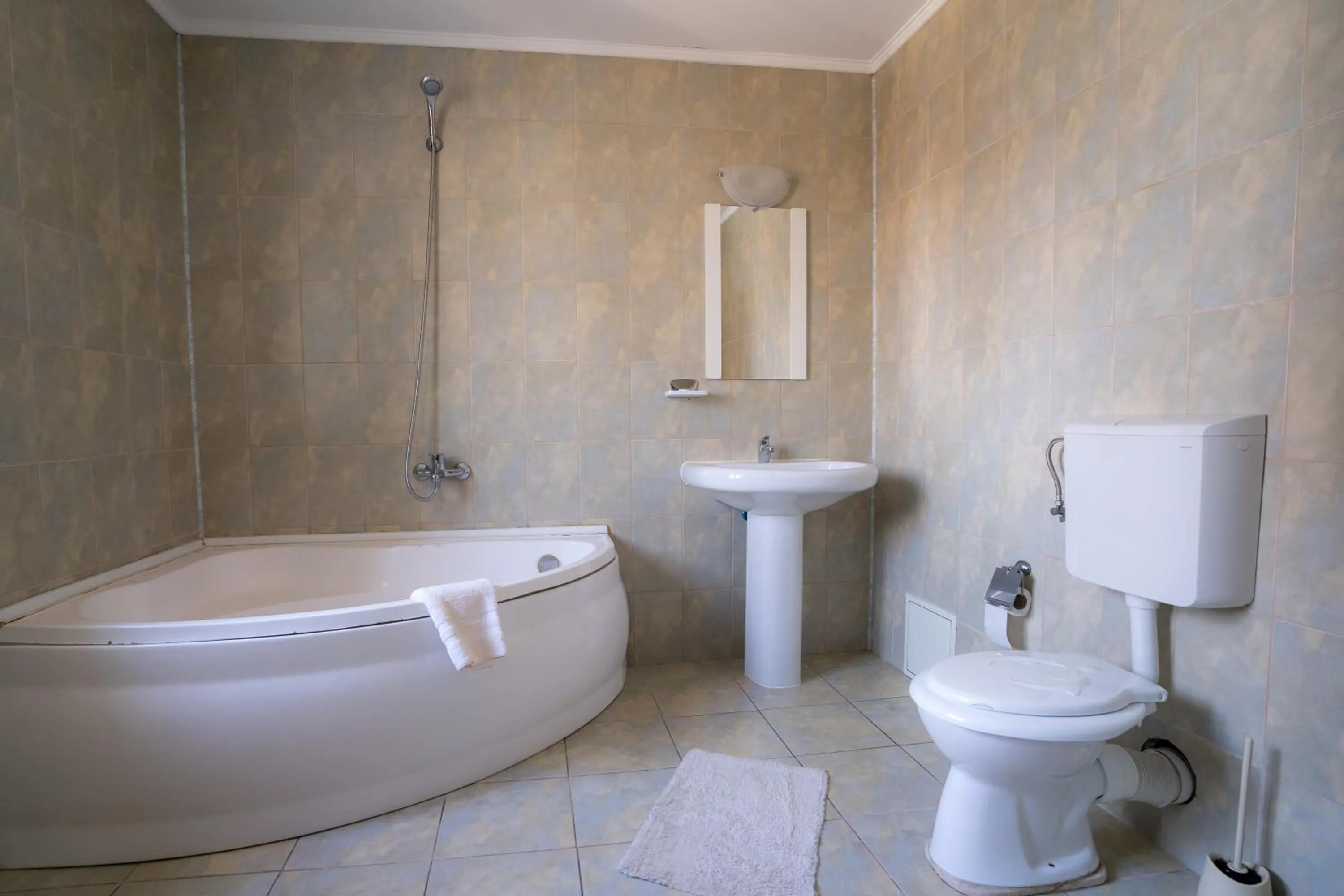 Bathroom in Pensiunea Dacia Deva