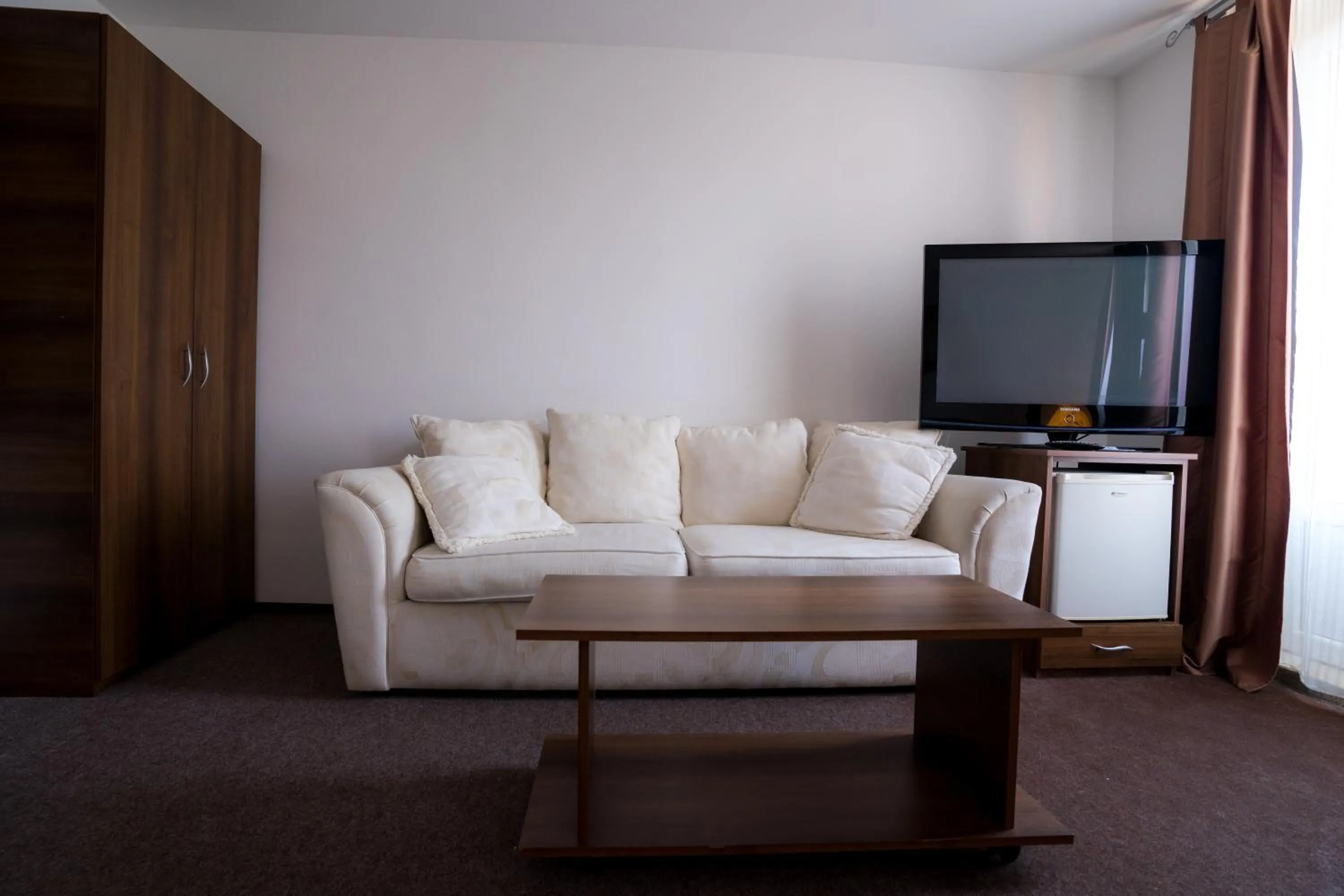 TV and multimedia in Pensiunea Dacia Deva