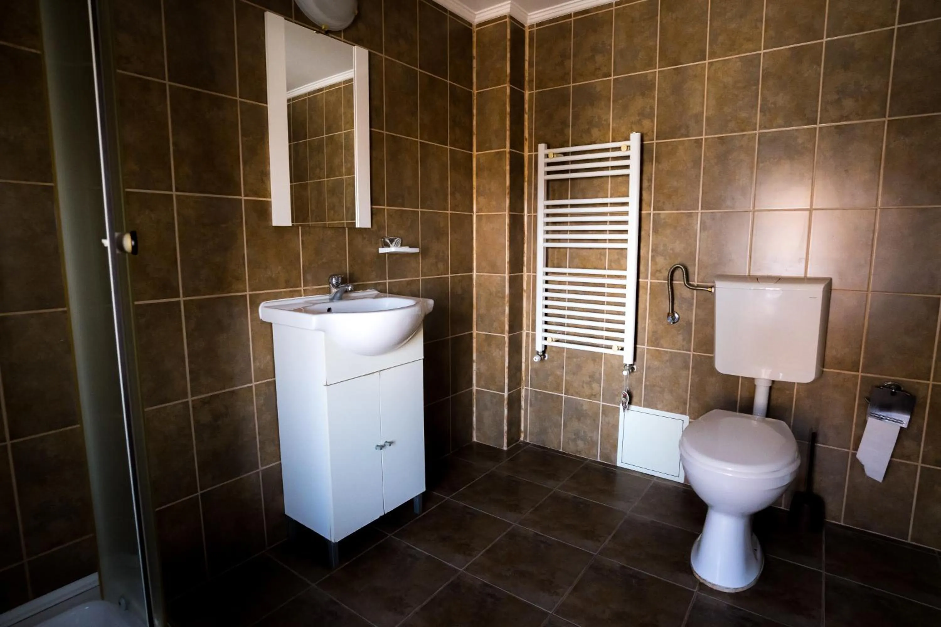 Bathroom in Pensiunea Dacia Deva