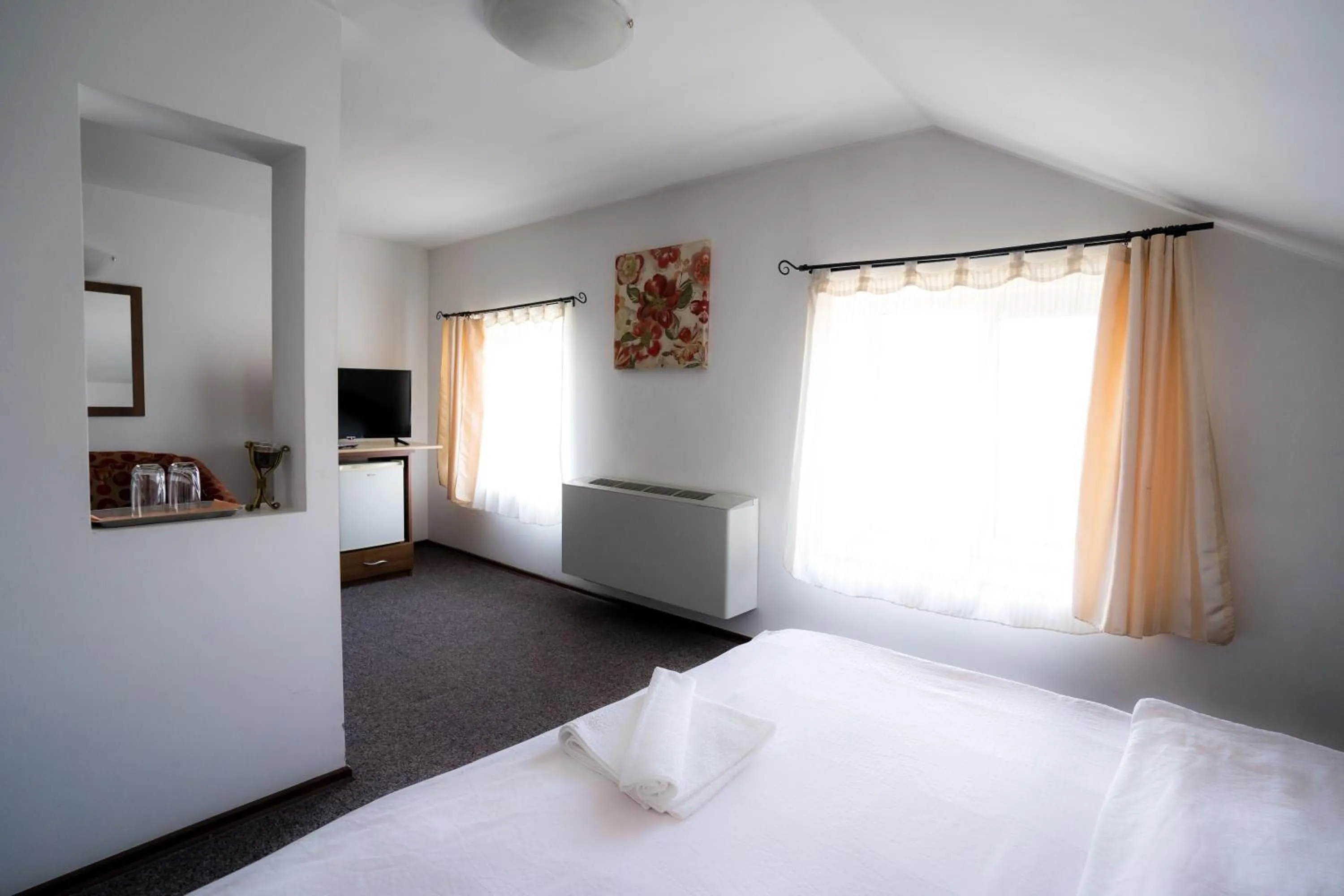 TV and multimedia in Pensiunea Dacia Deva