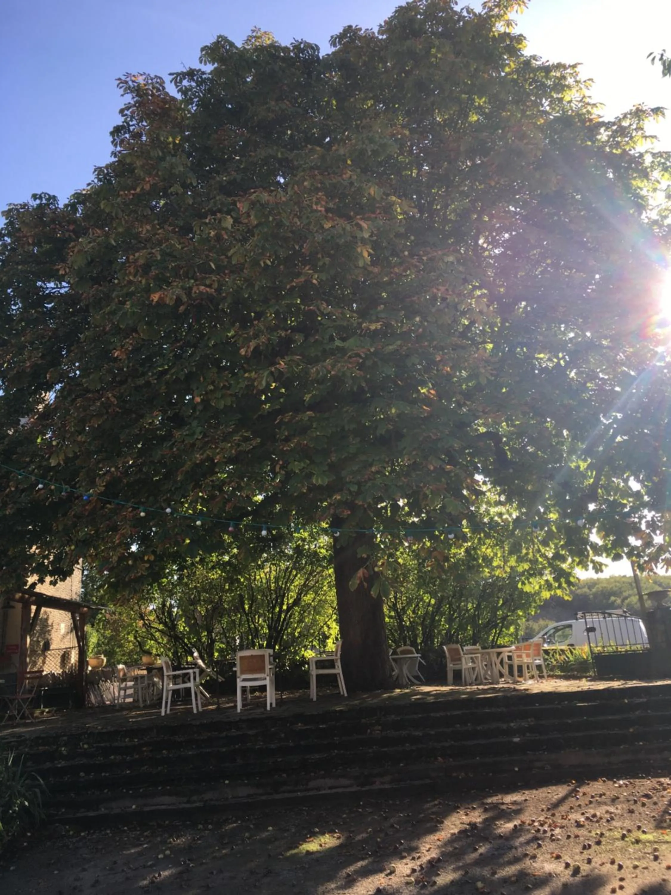 Garden view in Ô MARRONNIER de NADAILLAC