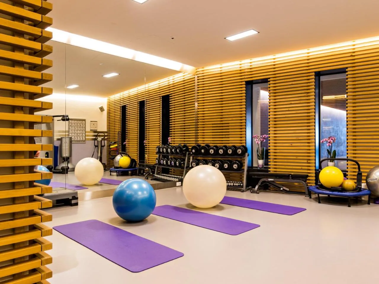 Fitness centre/facilities, Fitness Center/Facilities in Park Gstaad