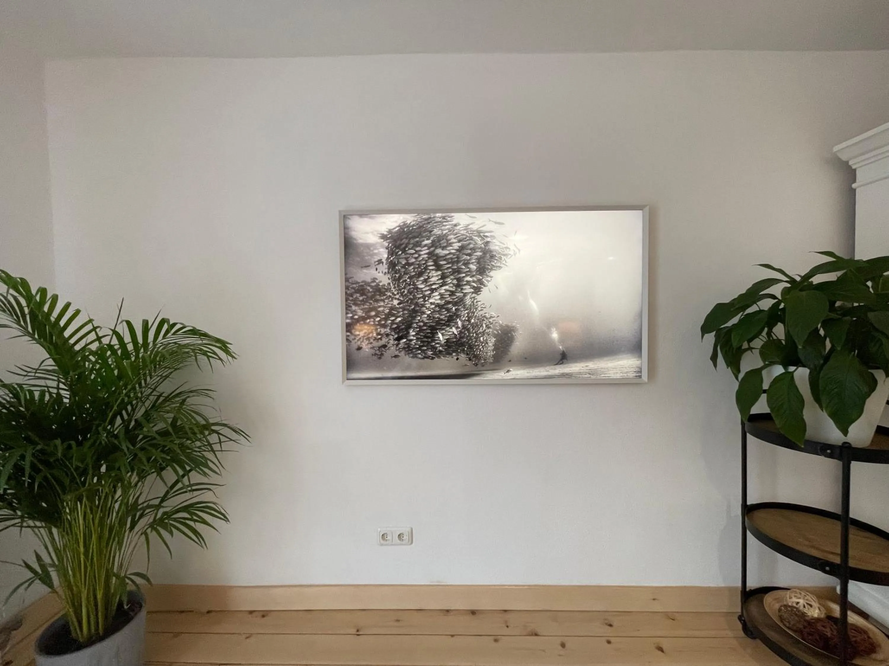 TV and multimedia in Gulewicz Apartments