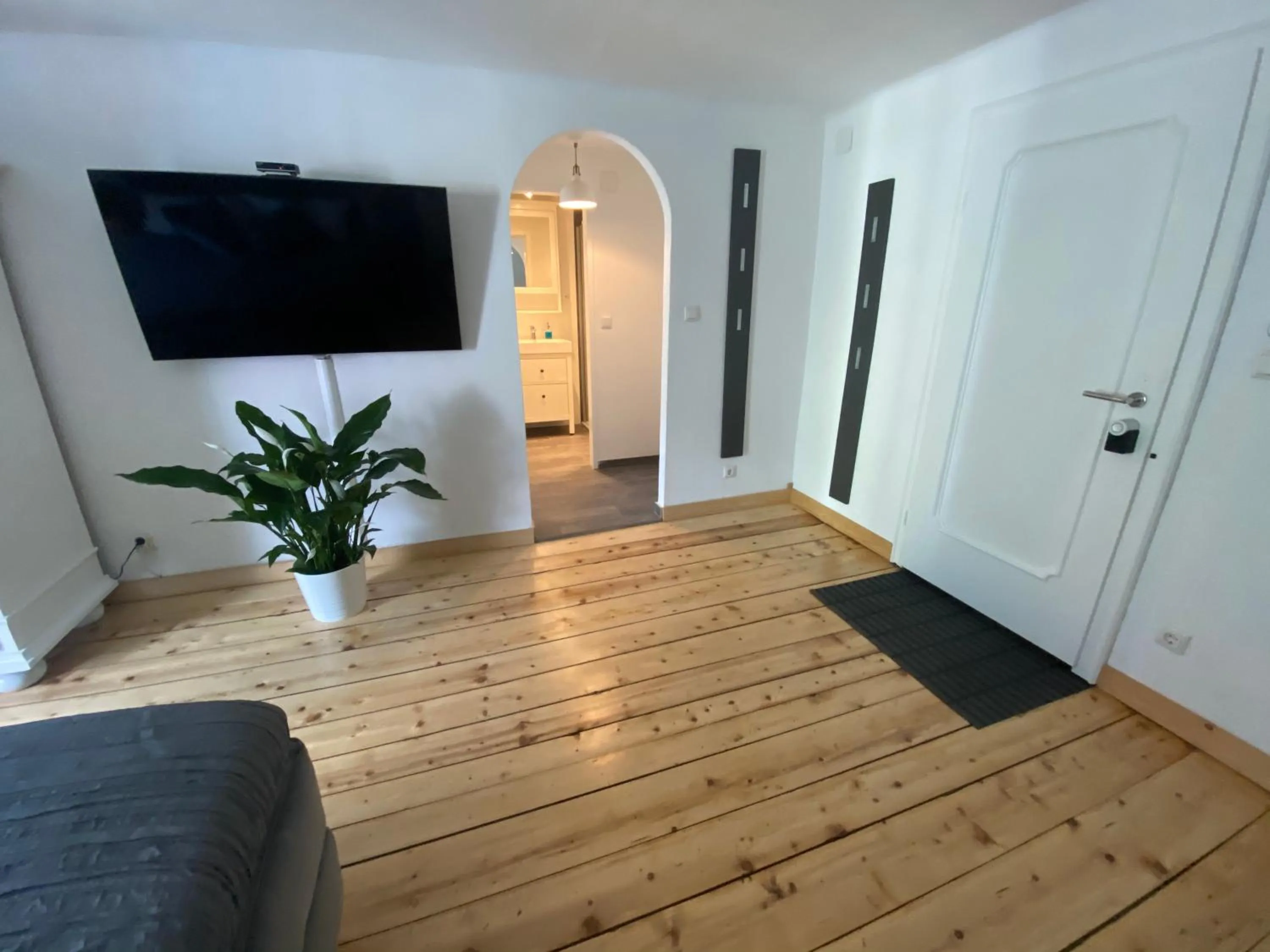 TV and multimedia in Gulewicz Apartments