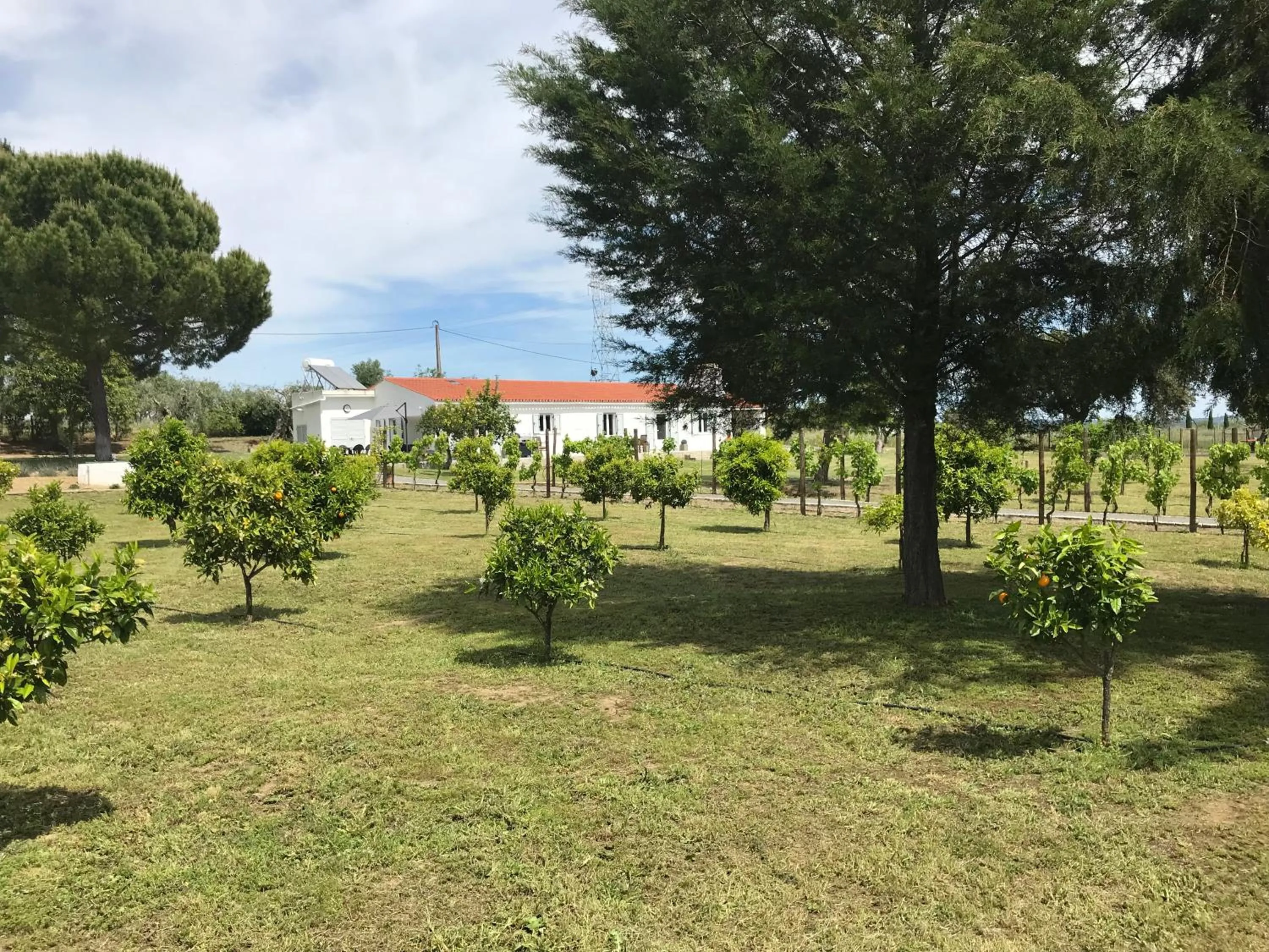 Horta da Rosa - Adults Only