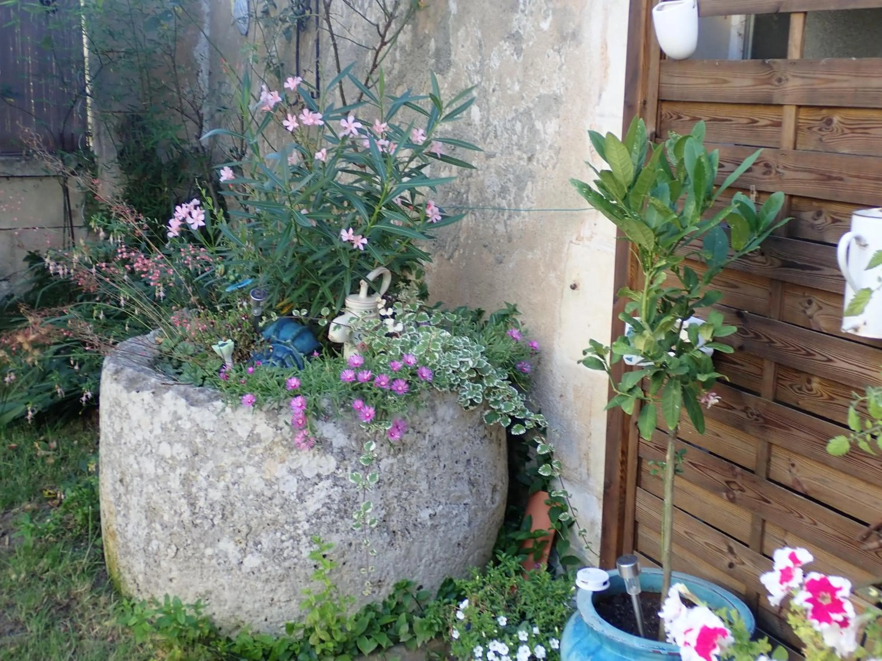 Garden in La Miramboise, chambres et table d hôtes