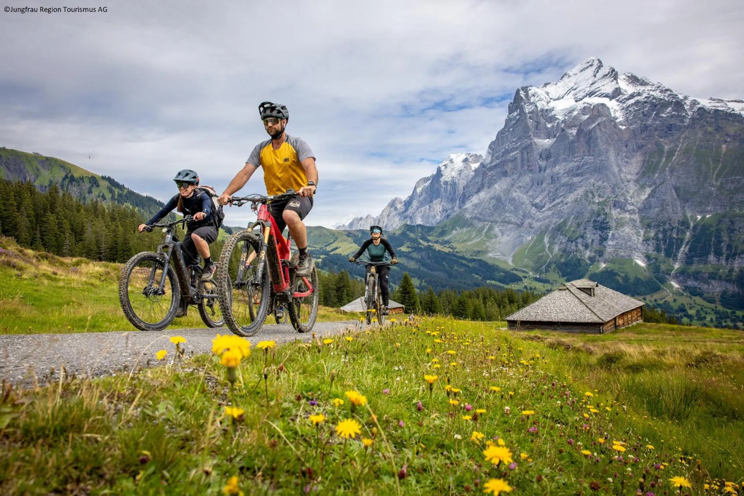 Natural landscape in Parkhotel Schoenegg