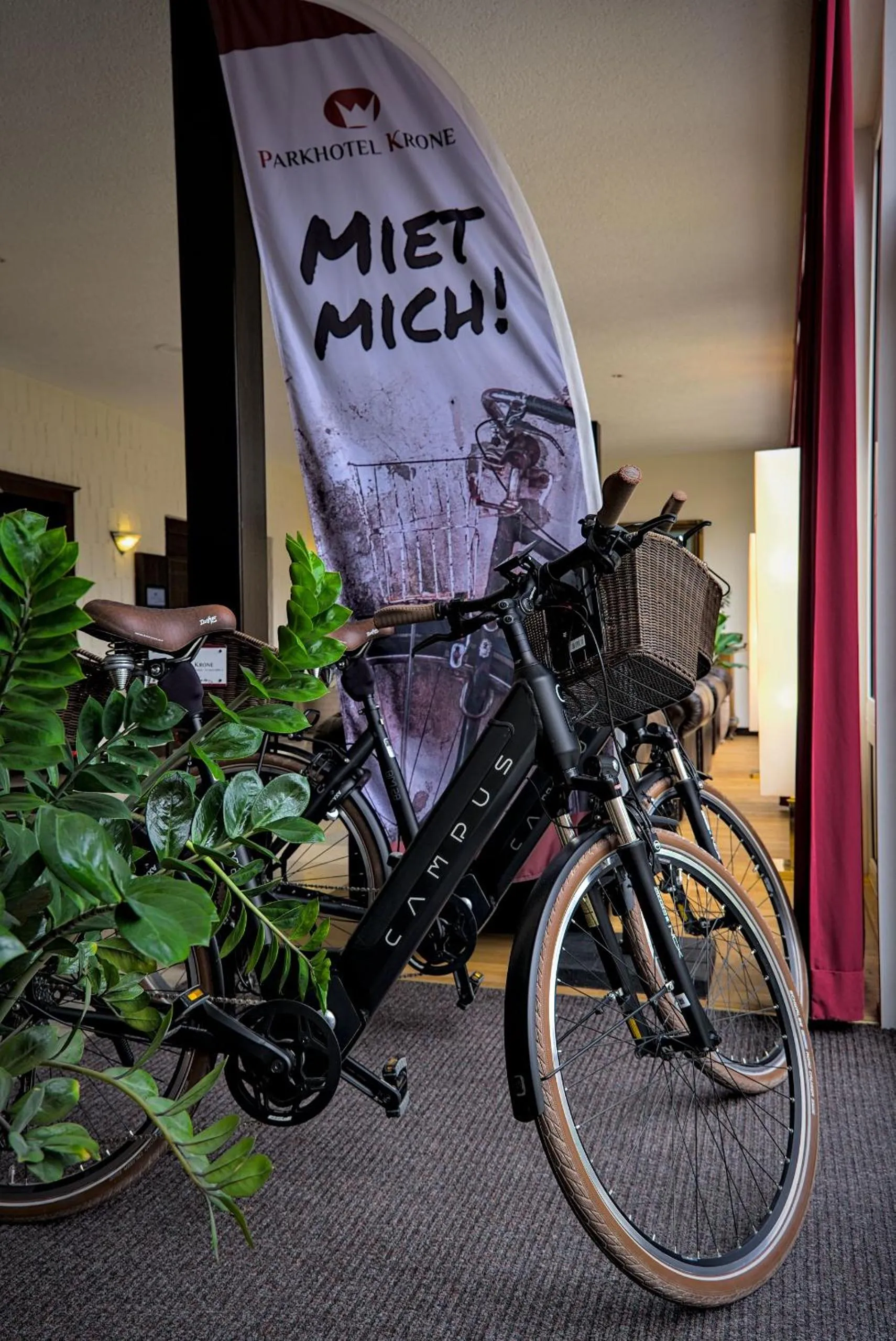 Cycling in Parkhotel Krone