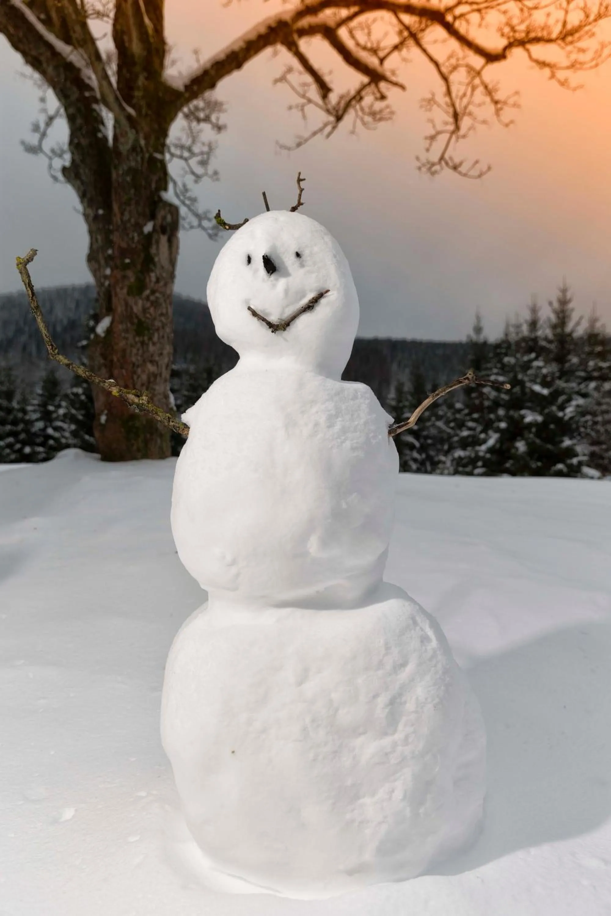 Winter in Brockenblick Ferienpark