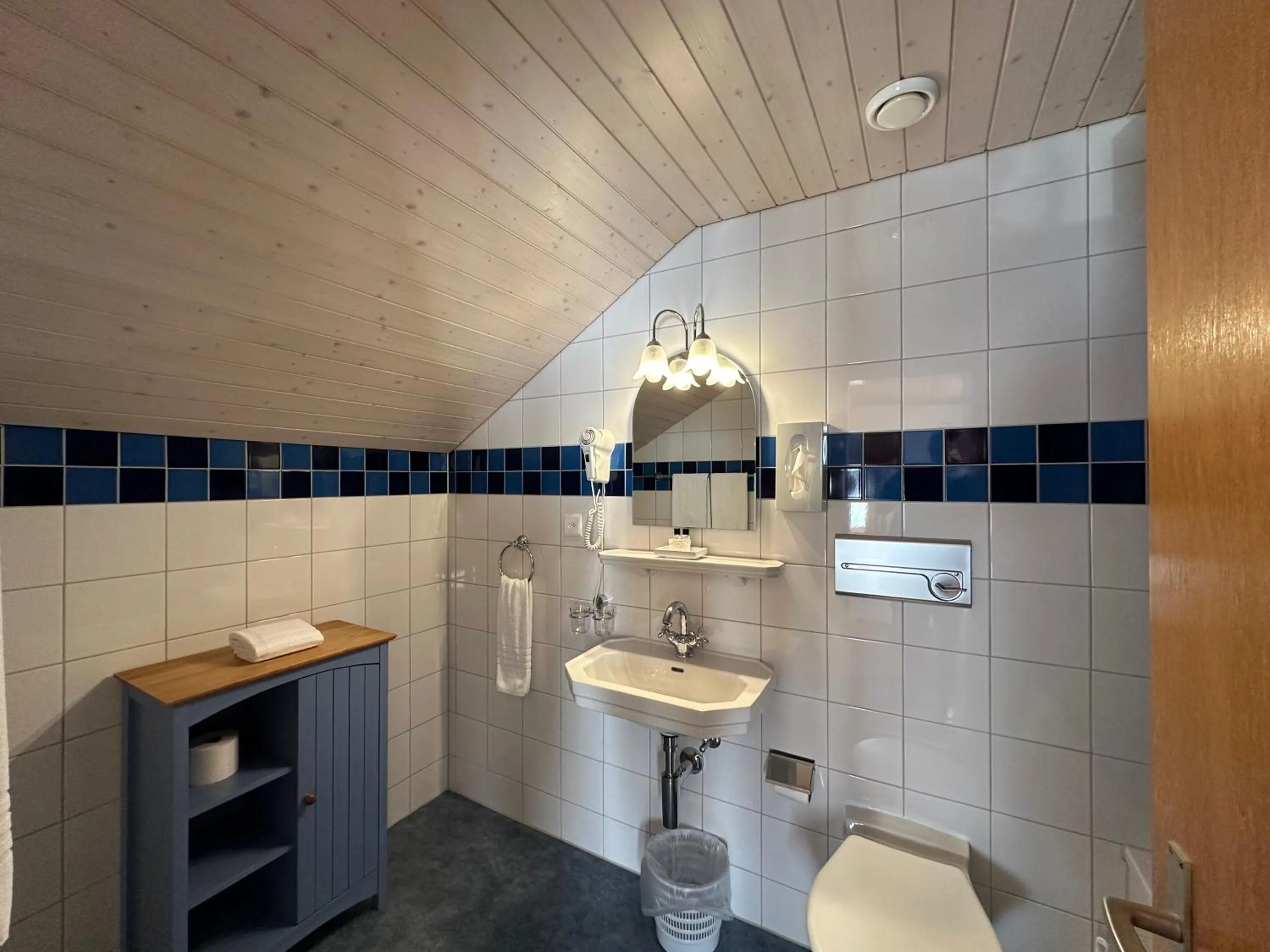 Bathroom in Hotel Chalet Swiss