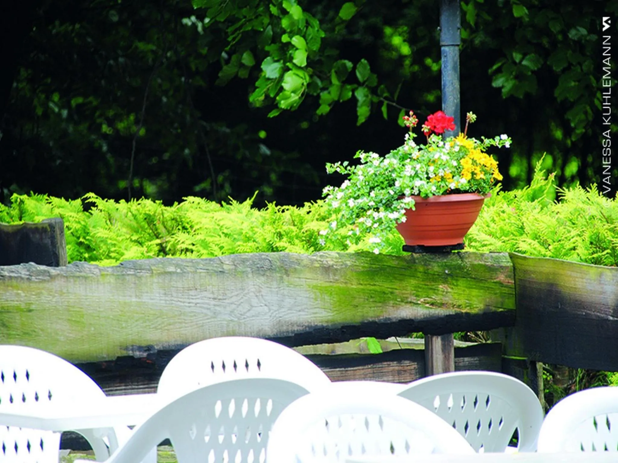 Garden in Berghotel Brockenblick