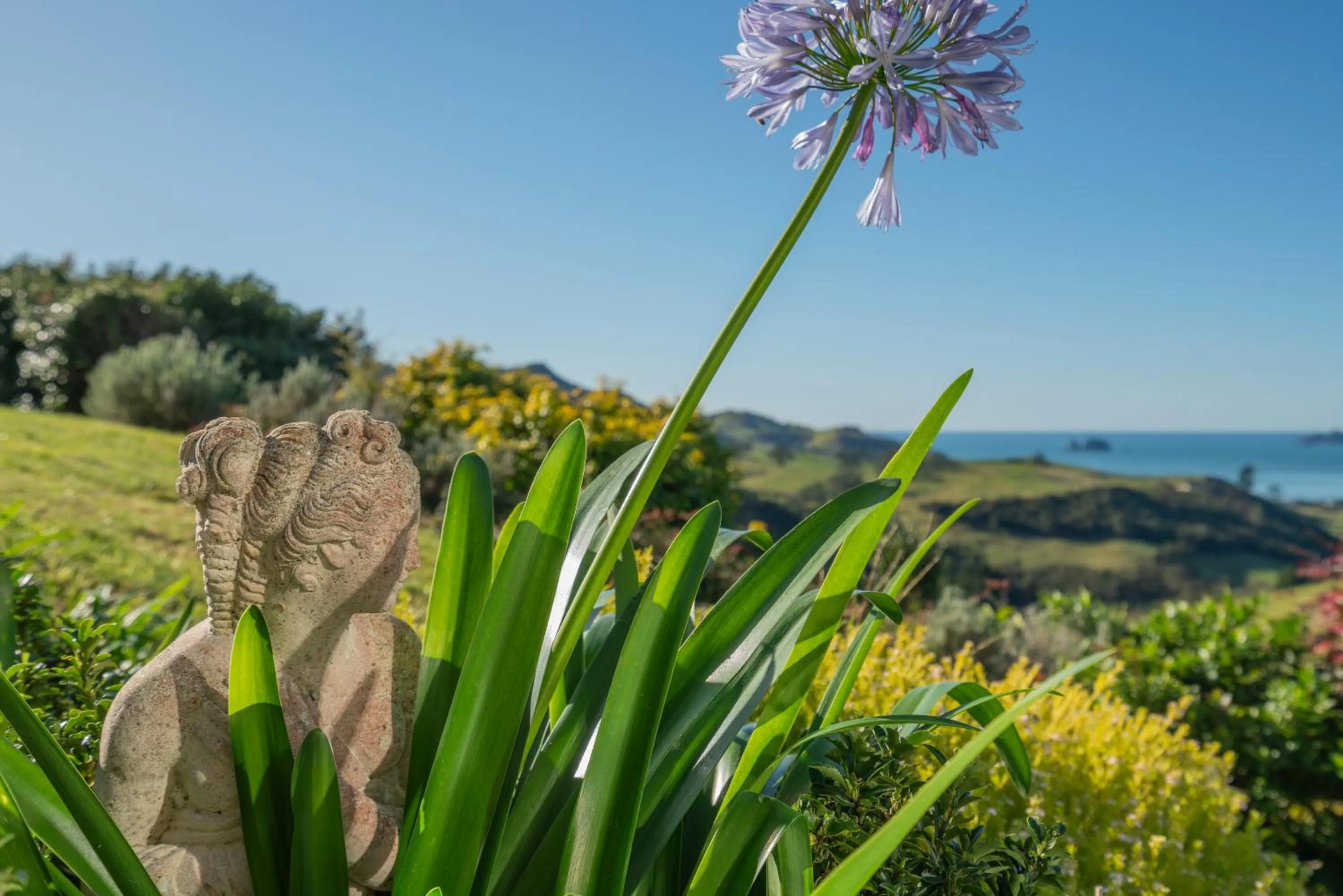Garden in Bayview Valley Lodge Bed & Breakfast