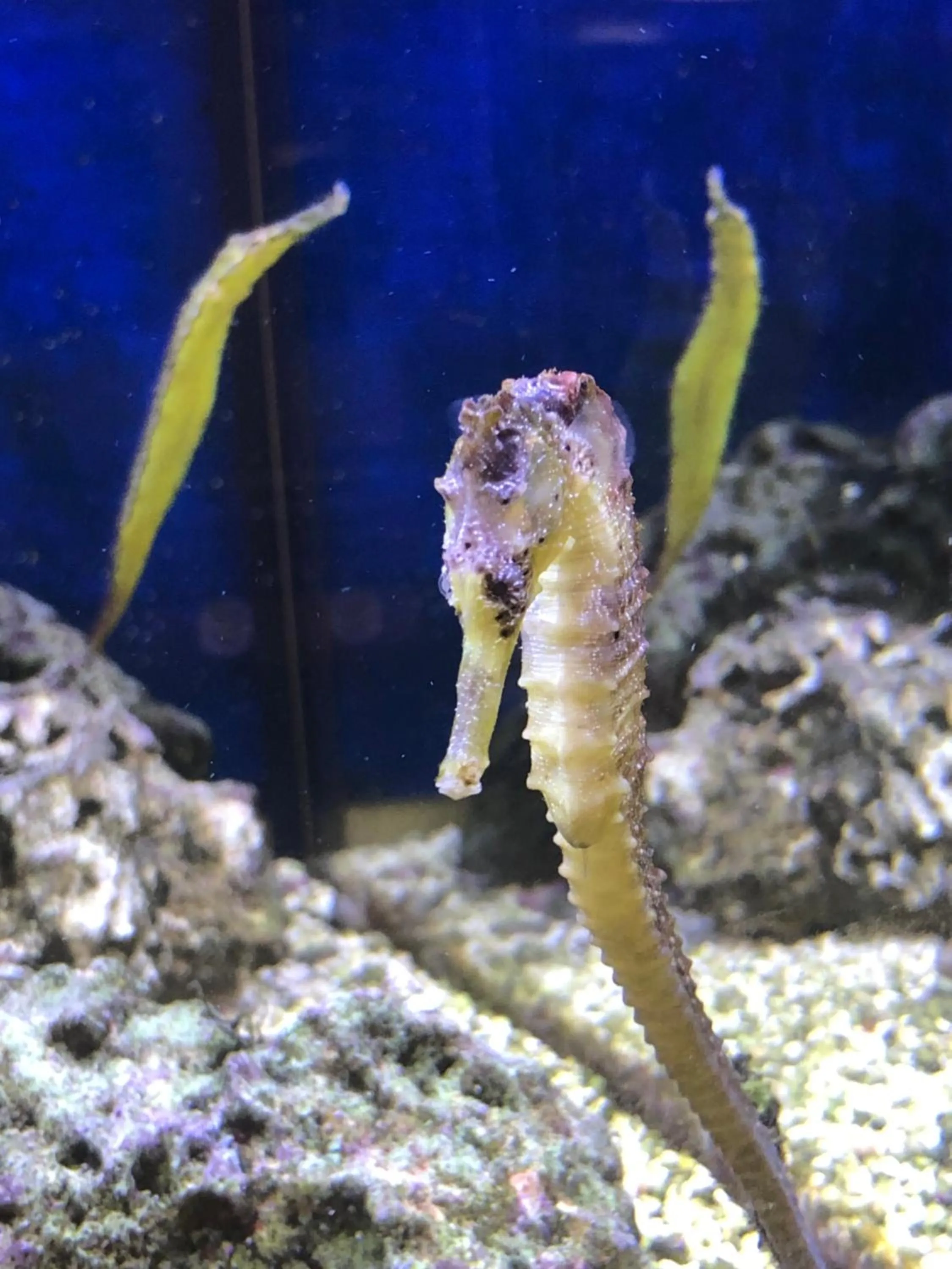 Off site in Hotel BB Bahnhof Bertsdorf