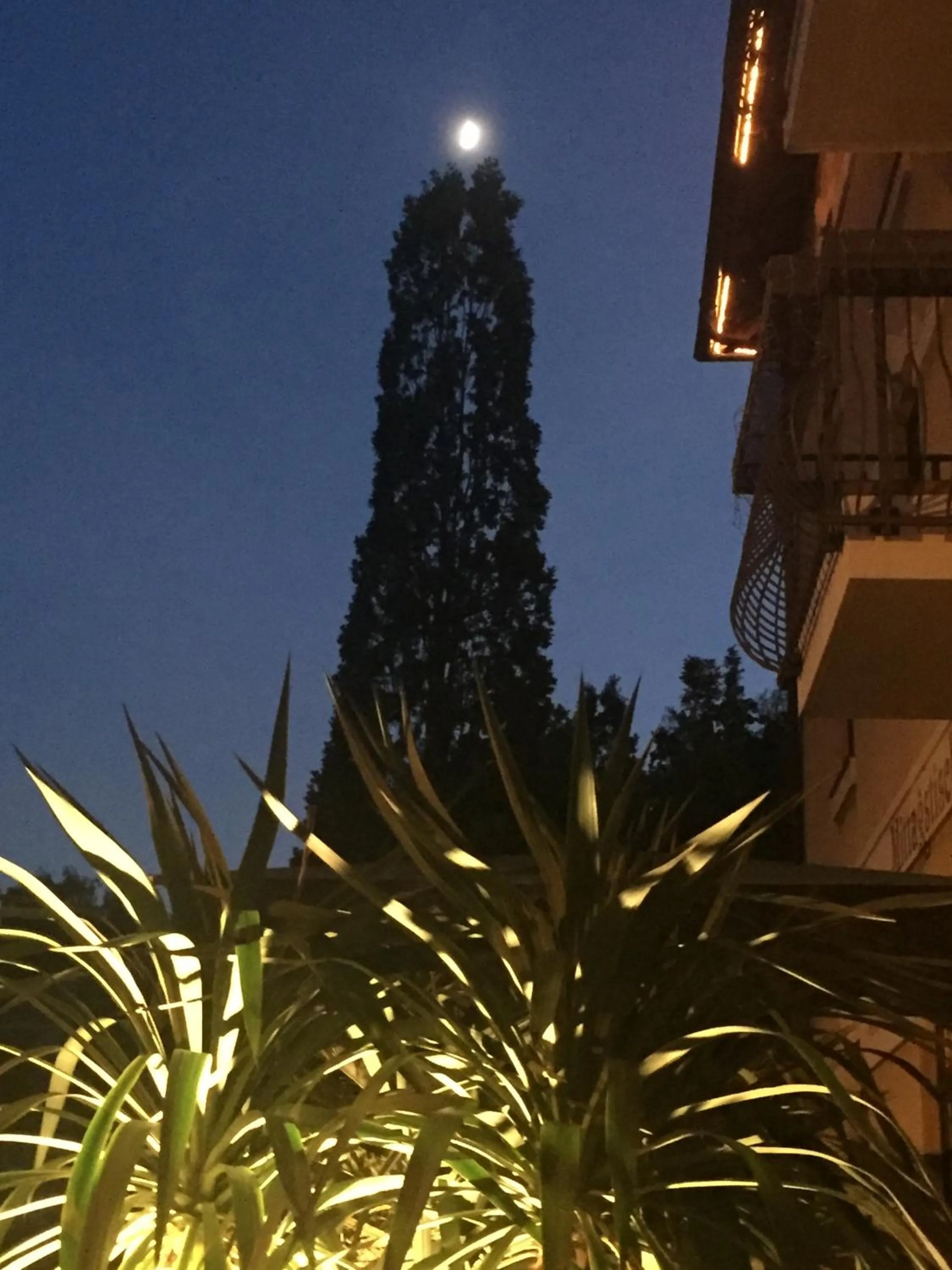 Night in Hotel BB Bahnhof Bertsdorf