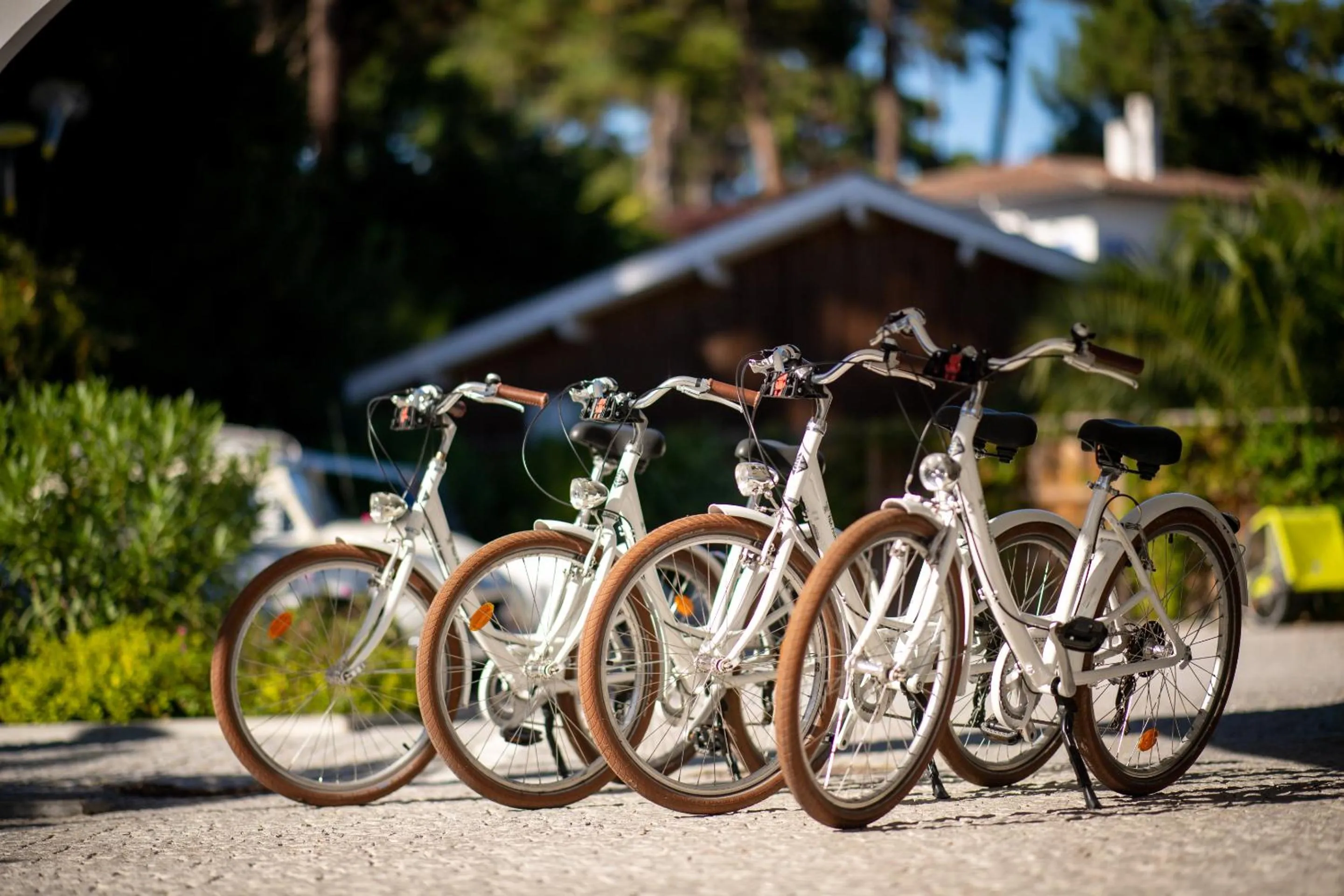 Activities in Villa Aitama