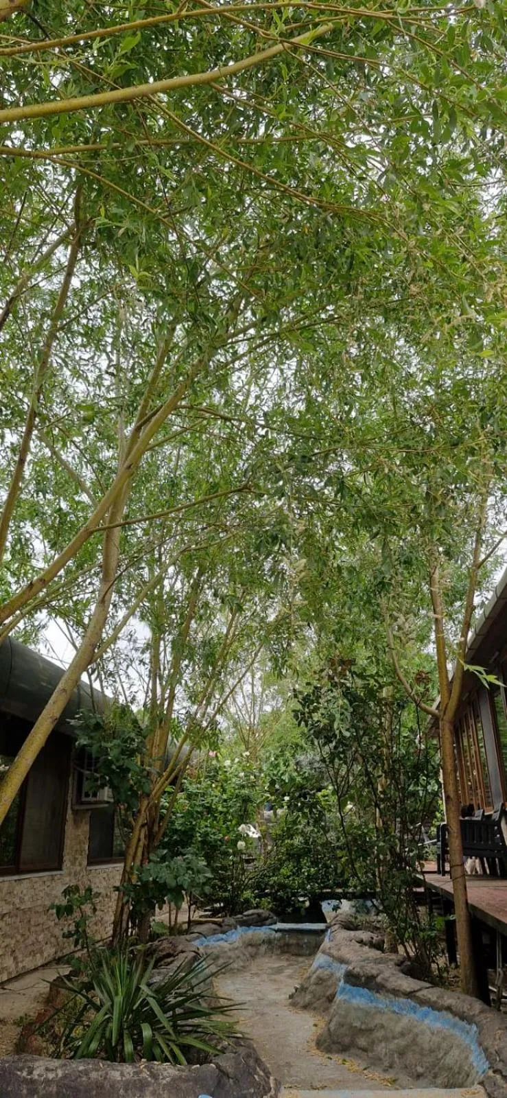 Royal Park Hotel Corlu Bed and Breakfast