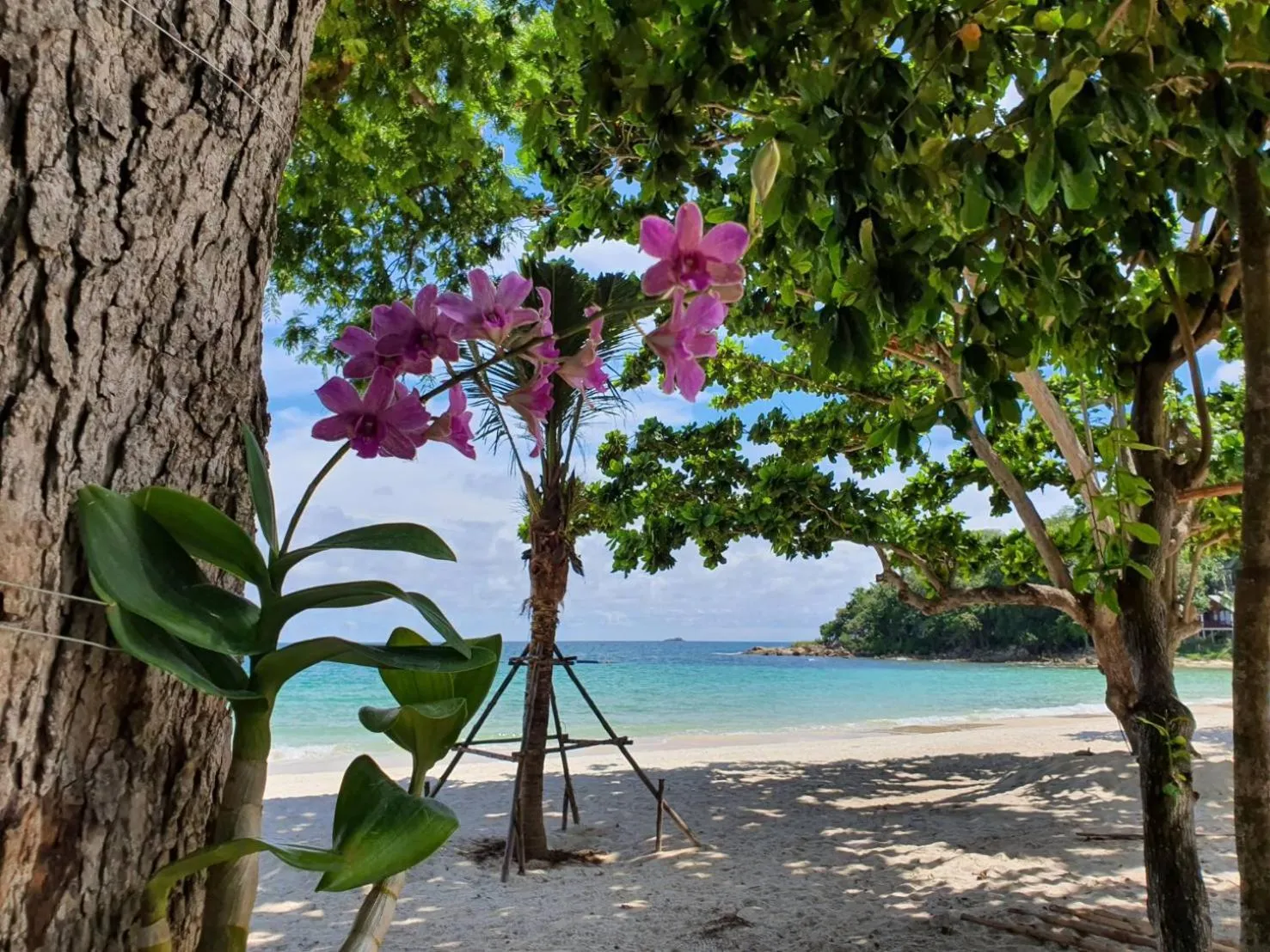 Beach in Blue Bay Bungalow