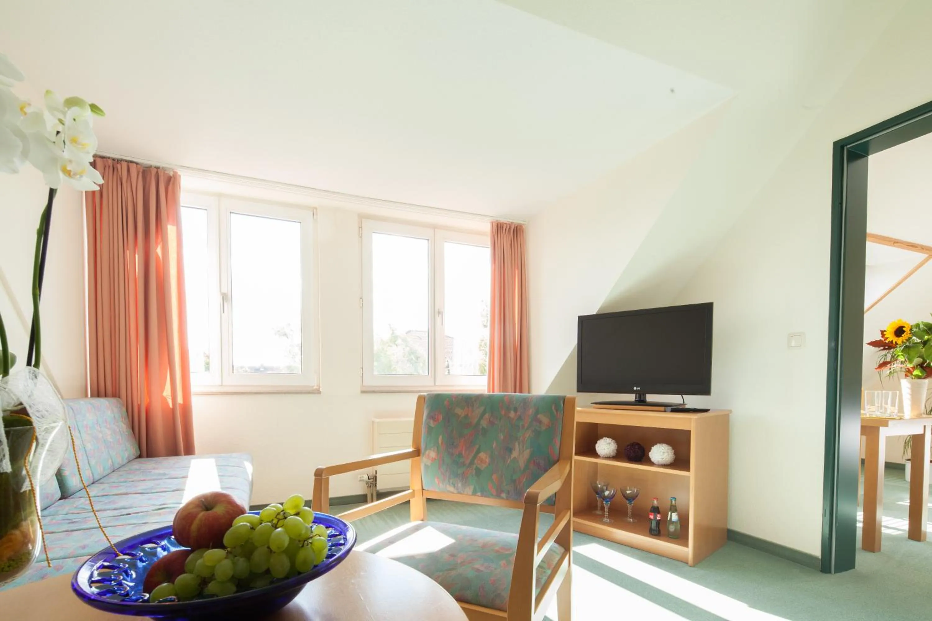 TV and multimedia in Apart Hotel Gera