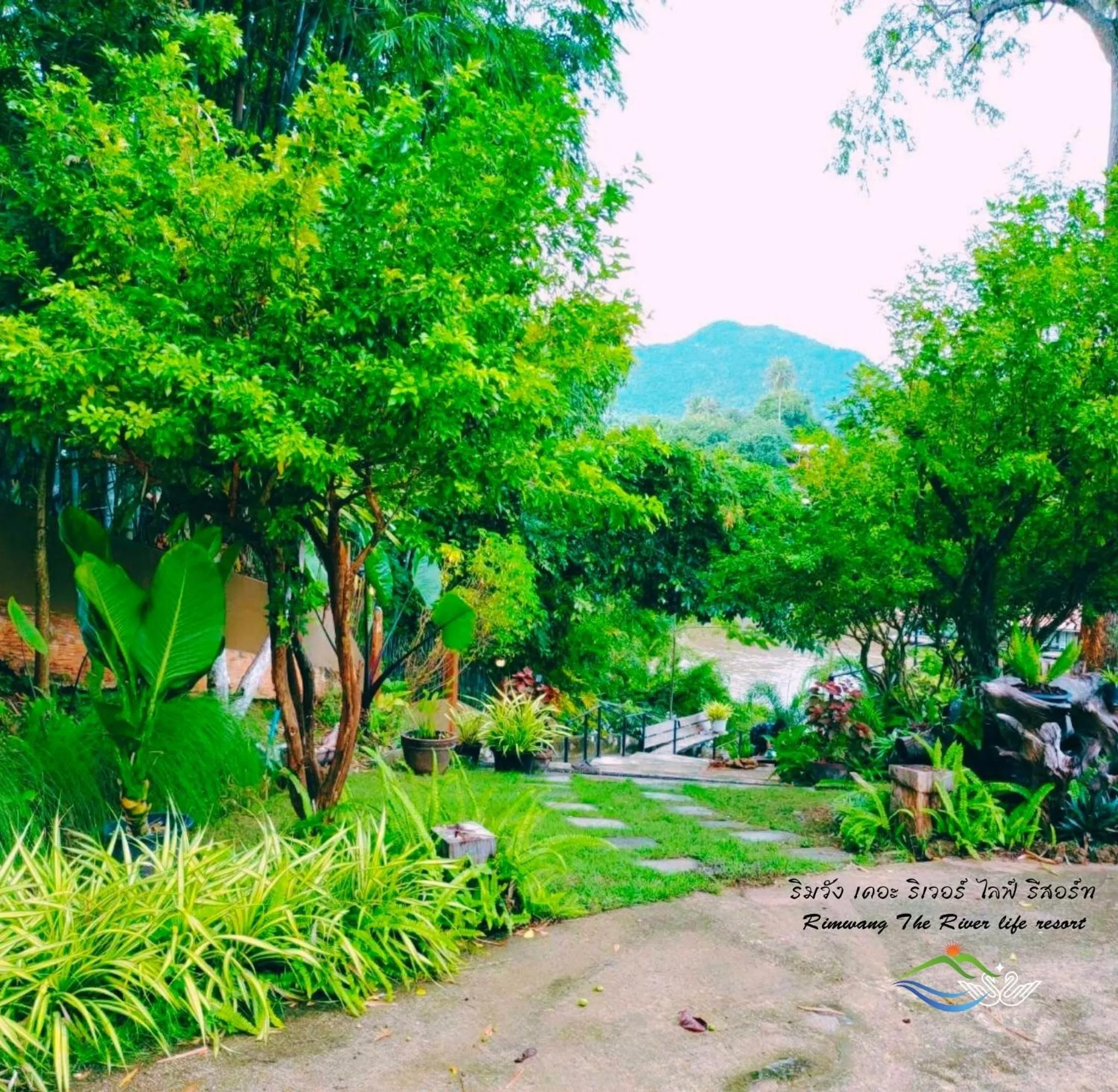 Garden in Rimwang The River Life