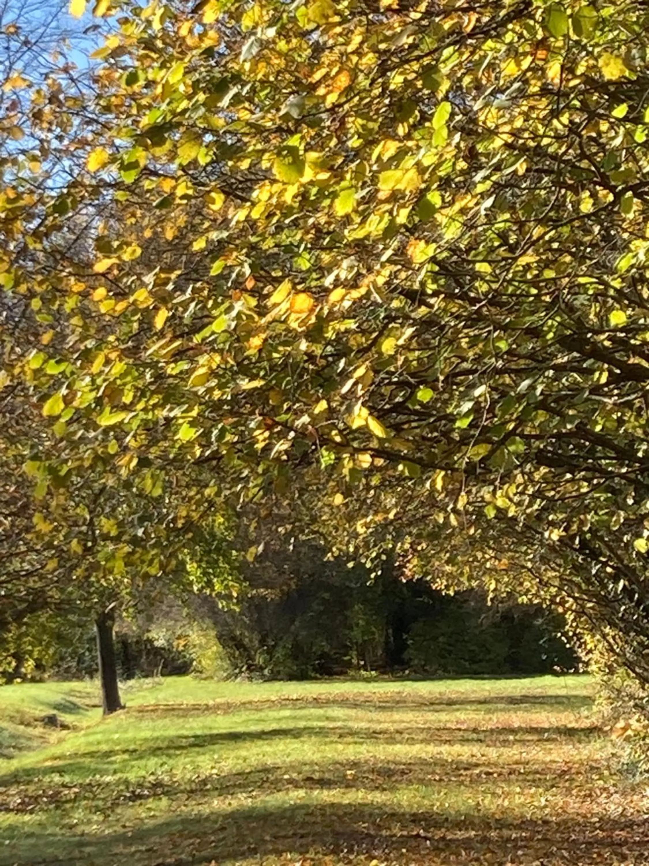 Natural landscape in Domaine de Chalaniat