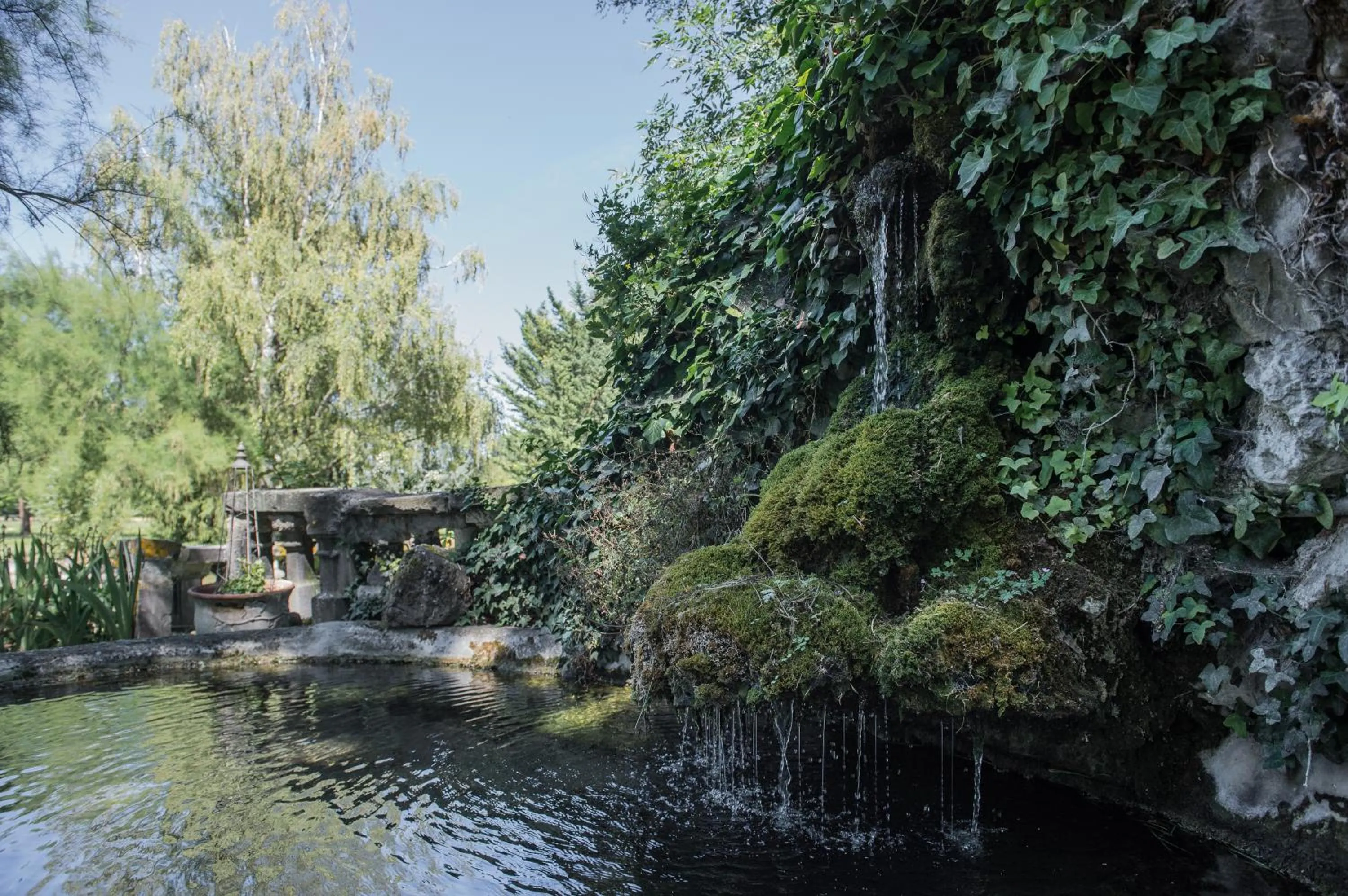 Garden in Domaine de Chalaniat
