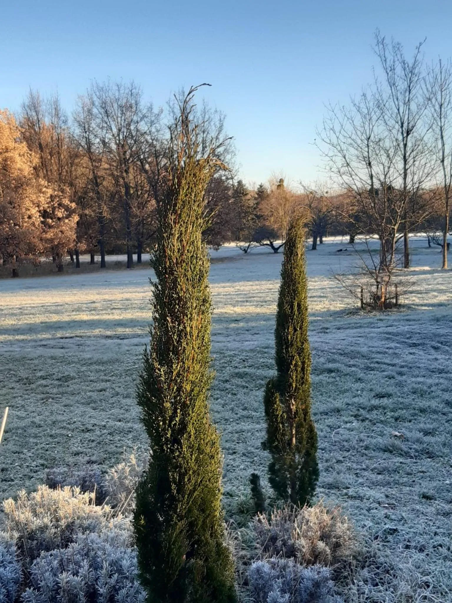 Area and facilities in Domaine de Chalaniat