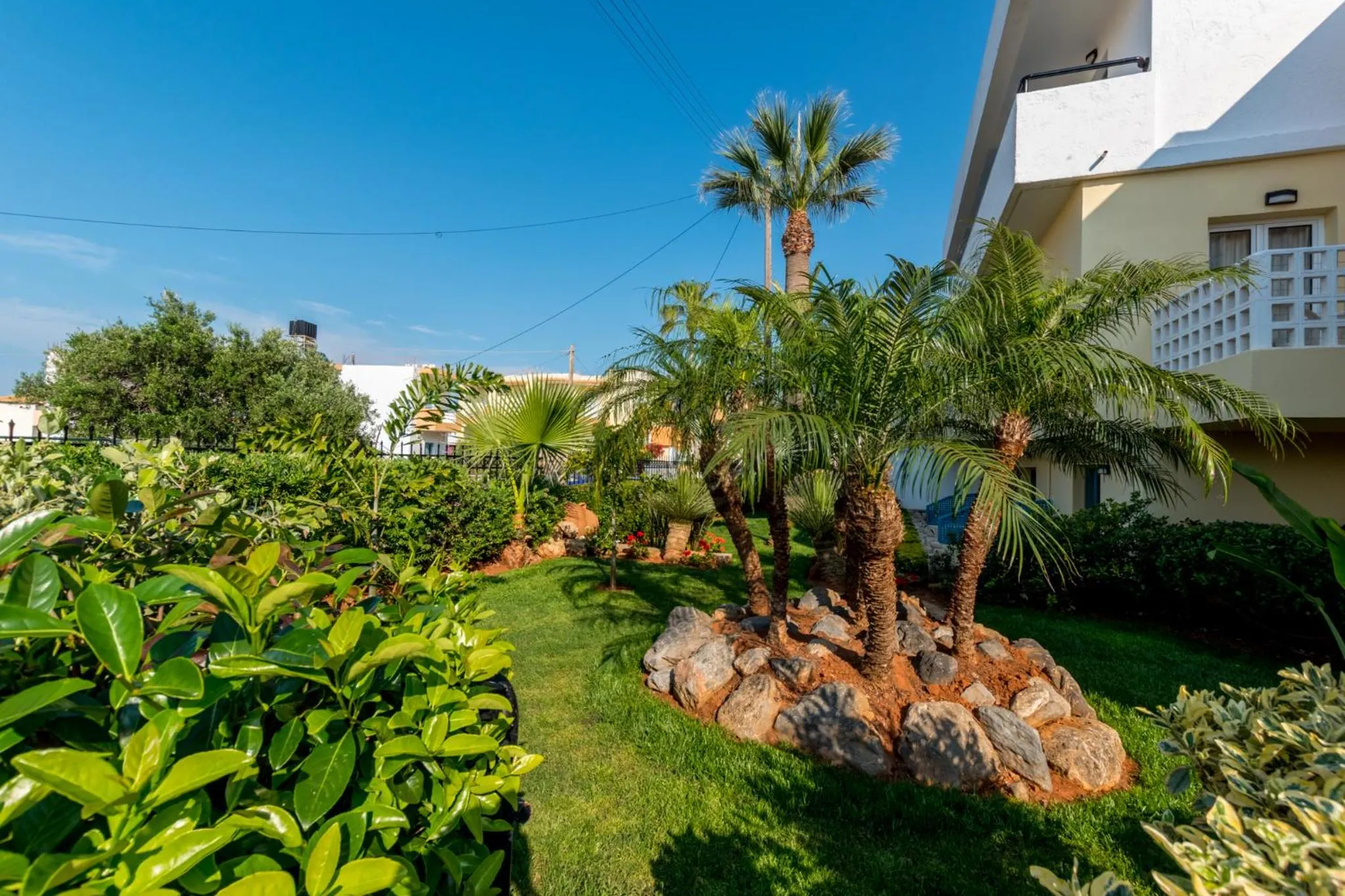 Garden in Dedalos Hotel