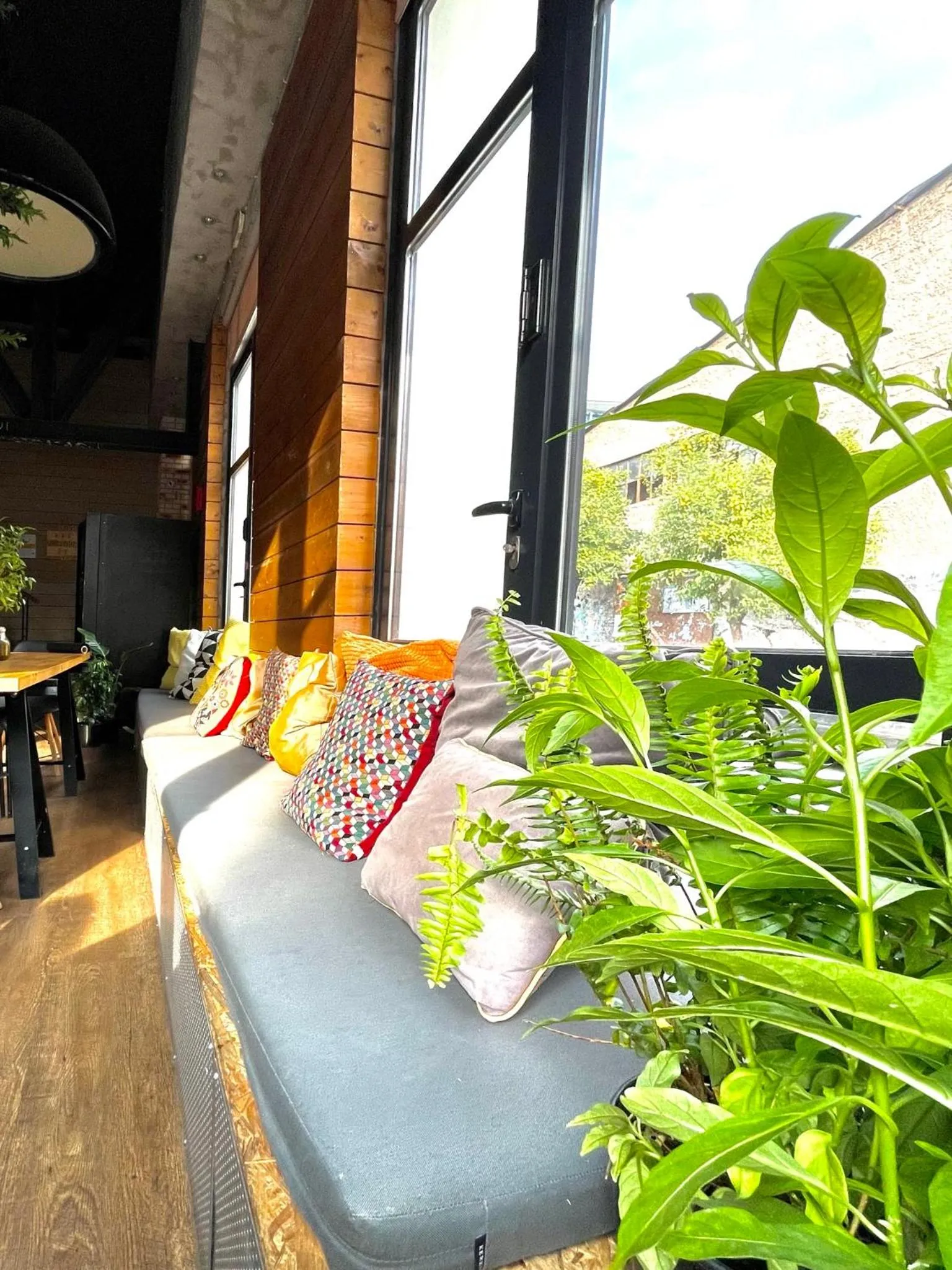 Communal lounge/ TV room in Iconic Athens Hostel