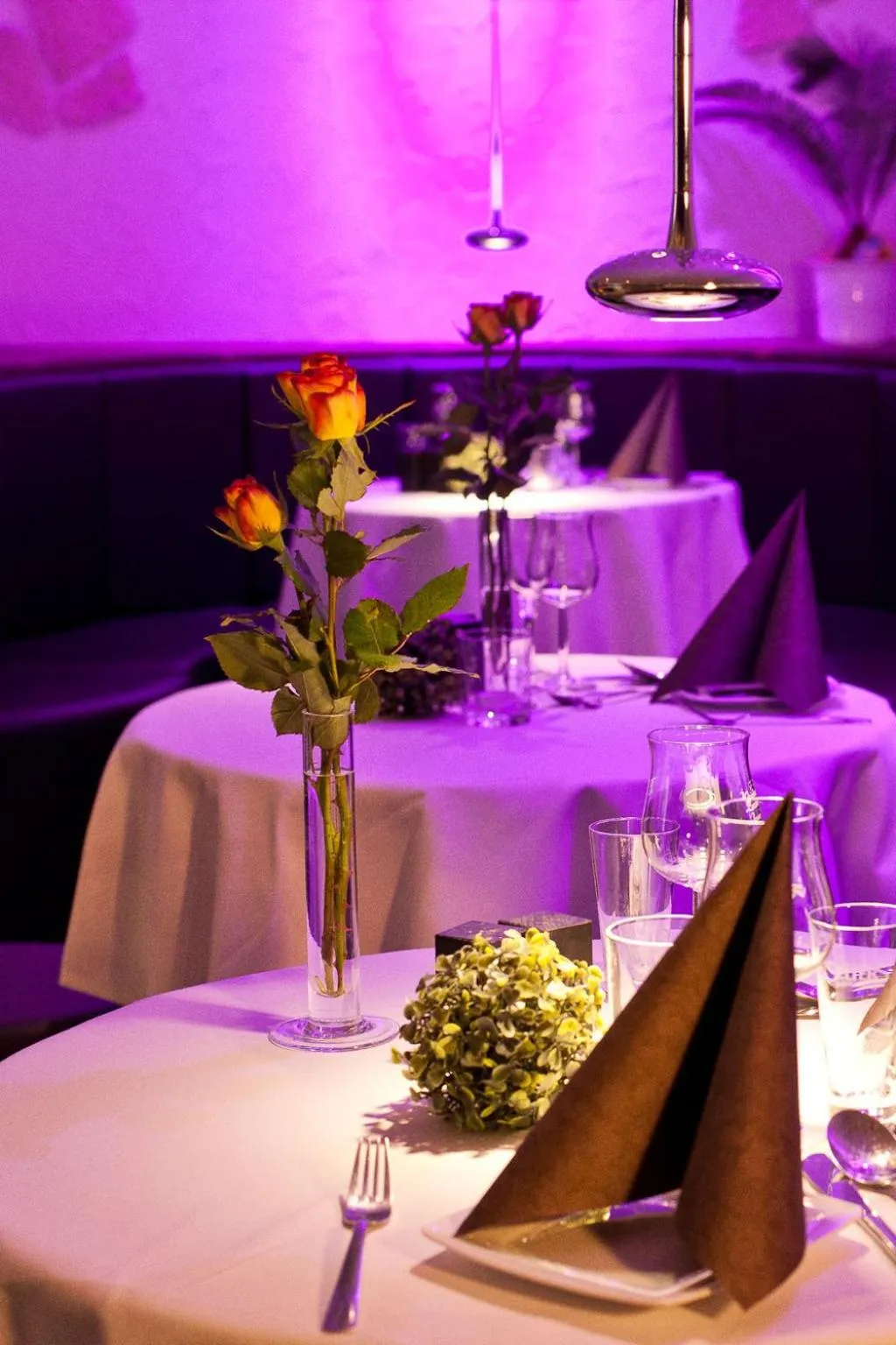 Restaurant/places to eat in Hotel-Pension Am Schwanenteich