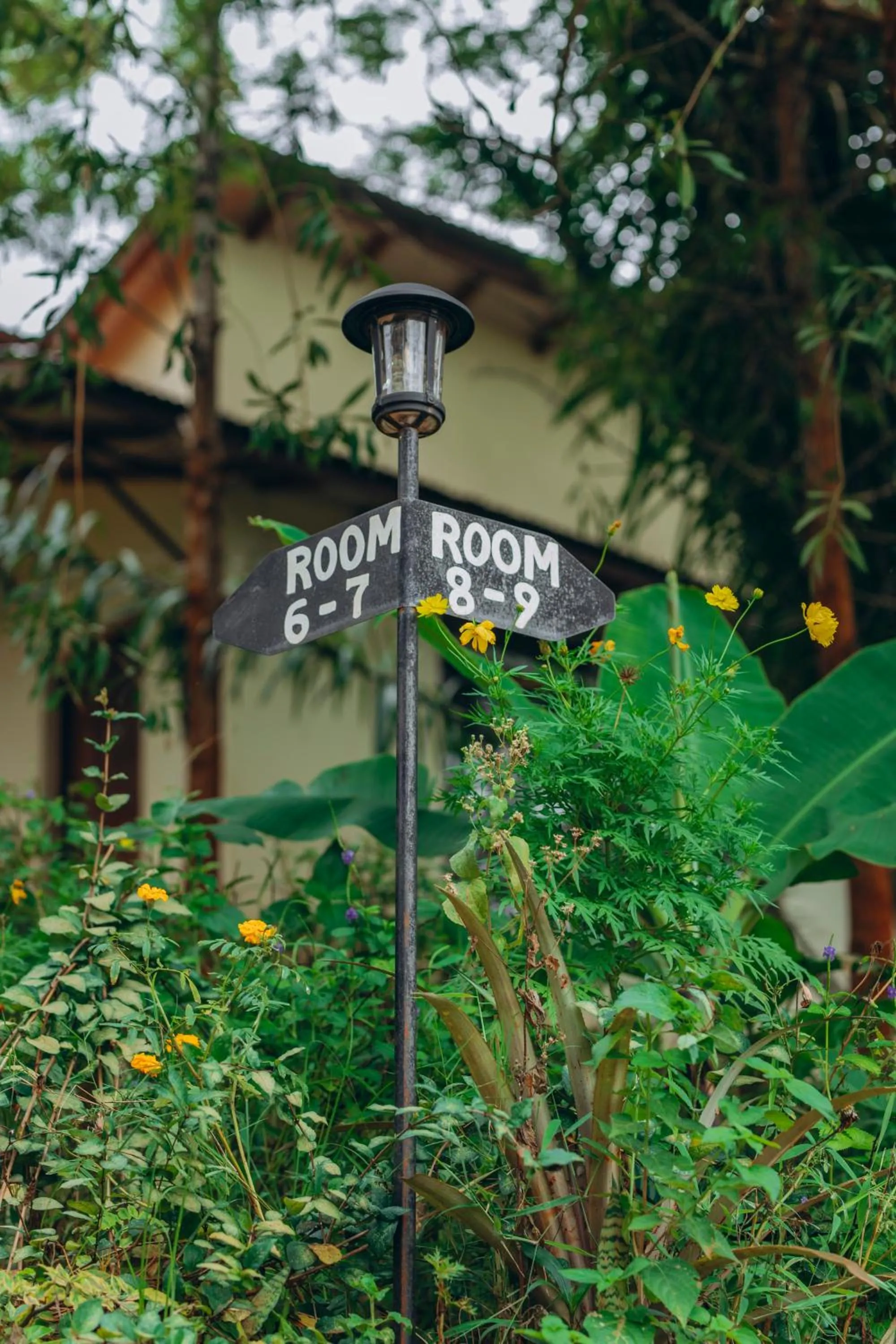 Garden in Edelwyss-Inn