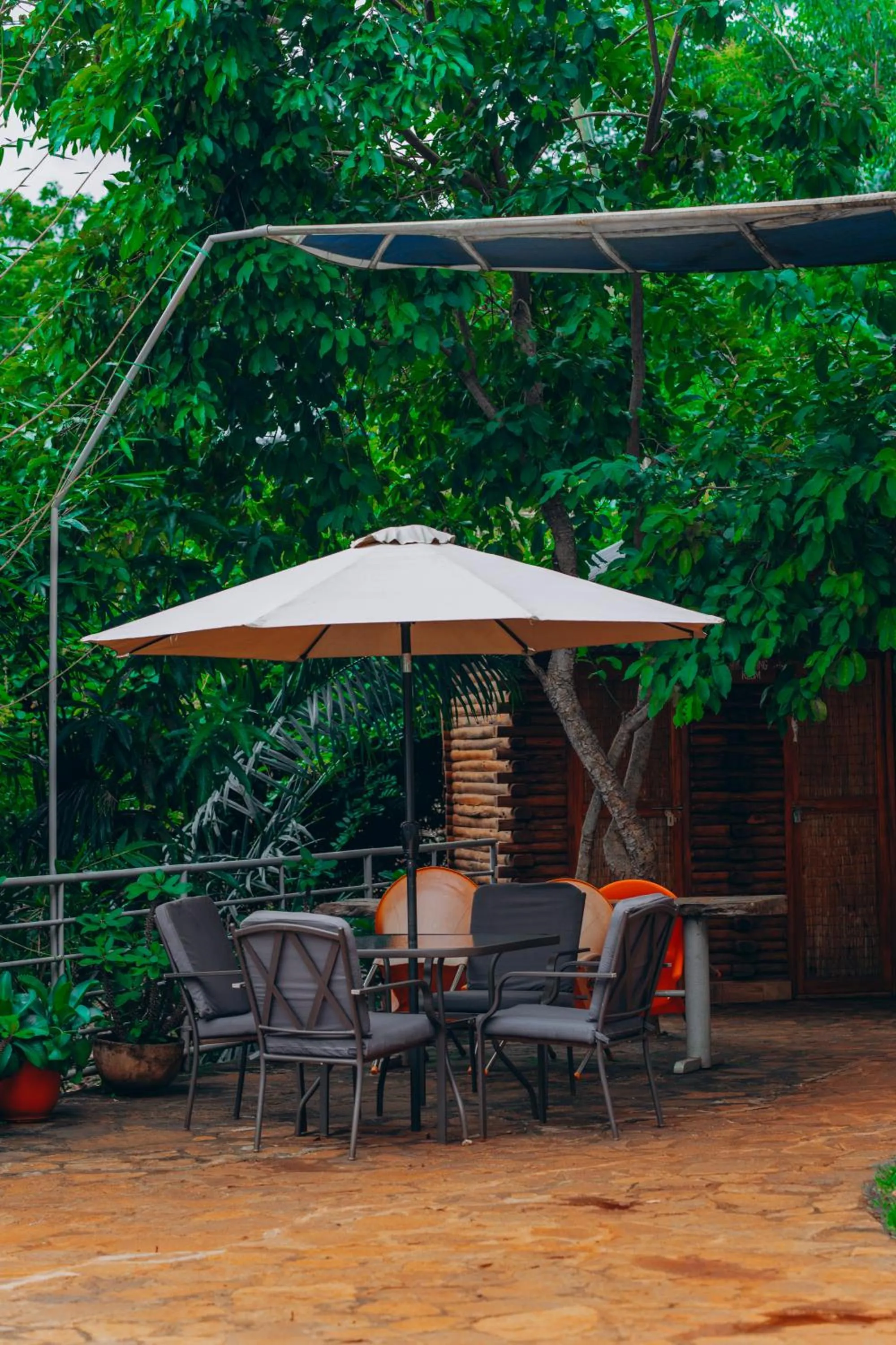 Patio in Edelwyss-Inn