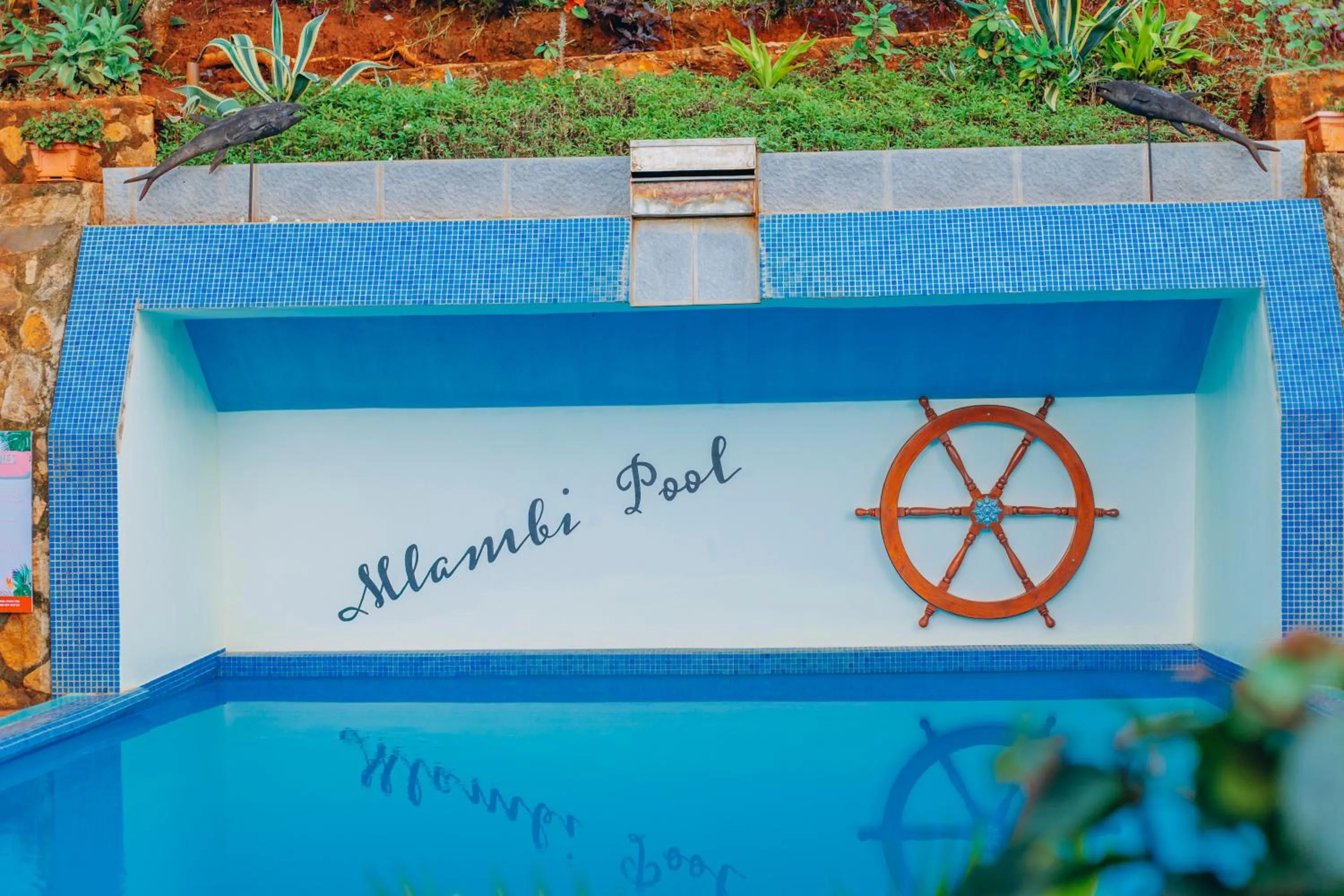 Swimming pool in Edelwyss-Inn