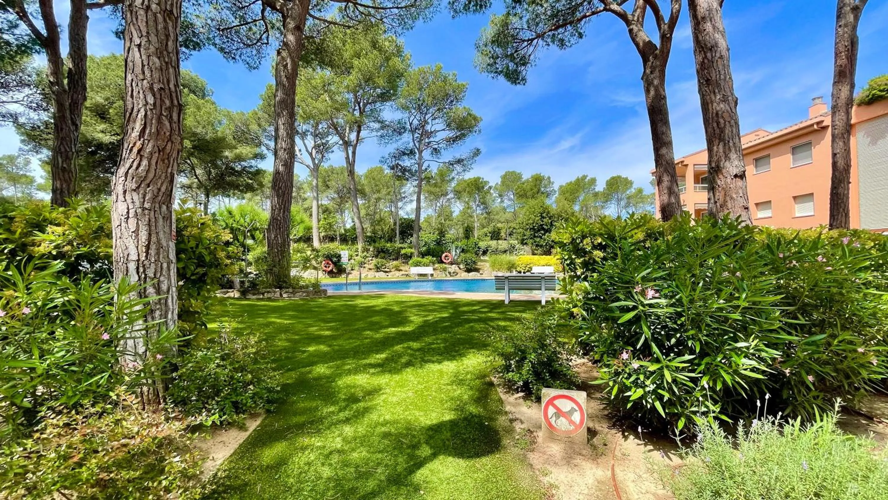 Swimming pool in Puig Sa Guilla 1C B2