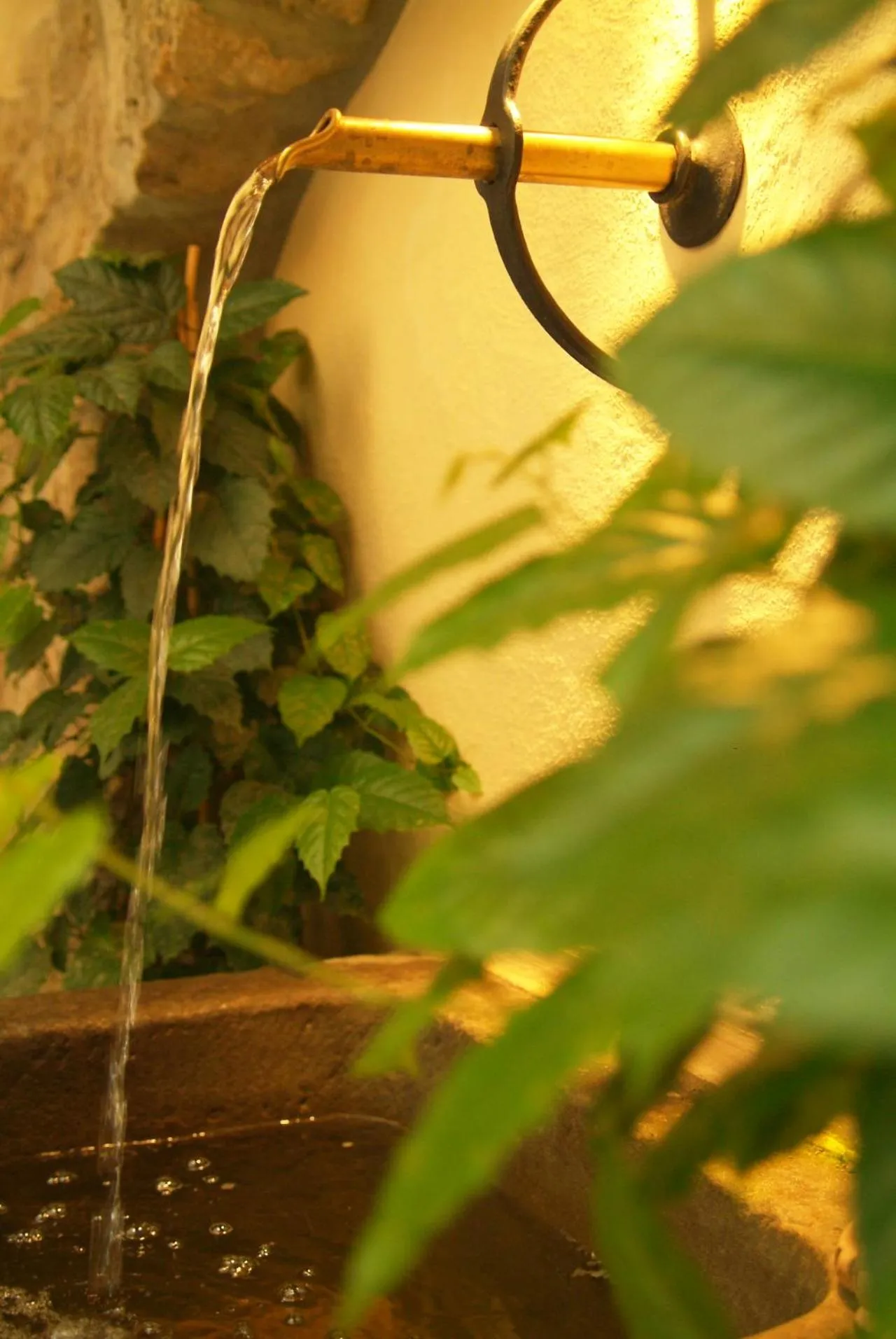 Other in Klosterstüble