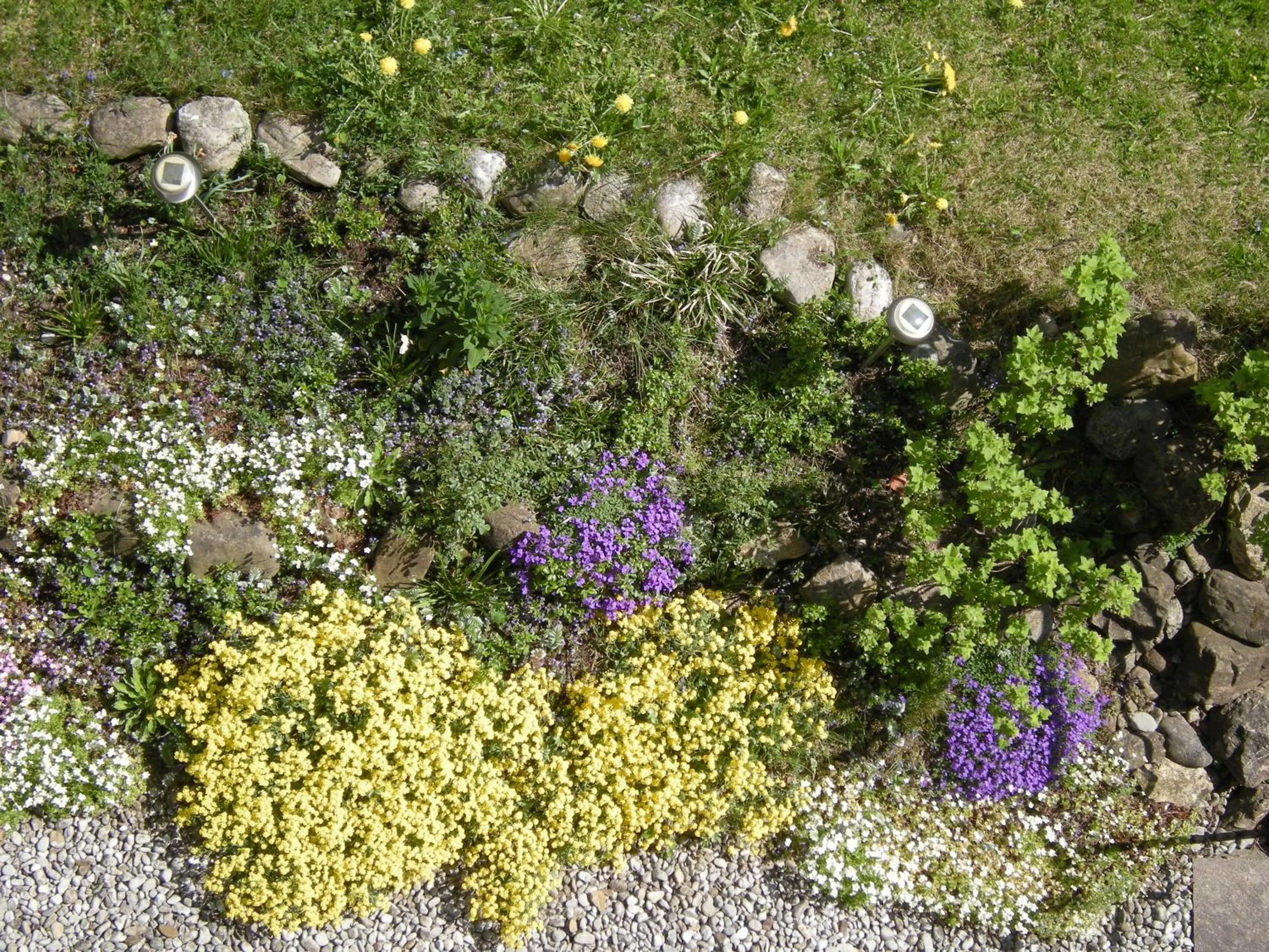 Garden in Hotel Weinbauer