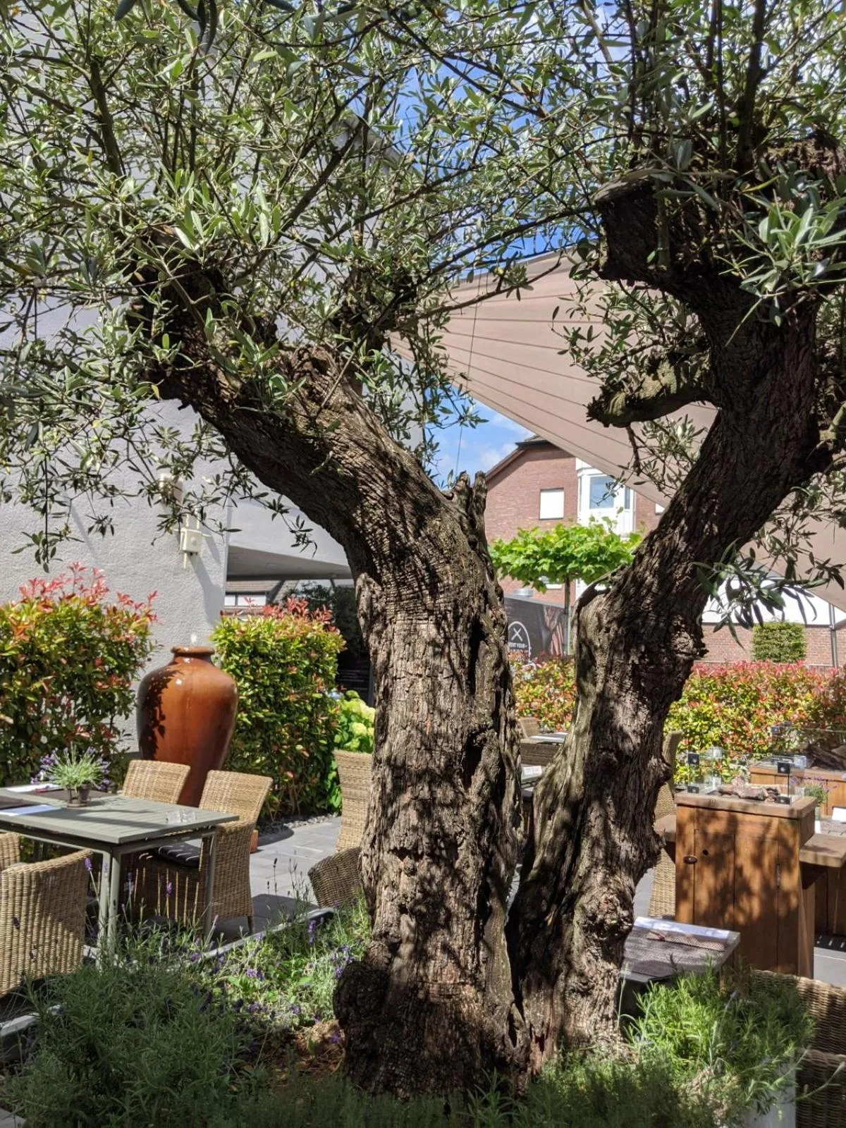 Patio in Hotel Schmachtendorf