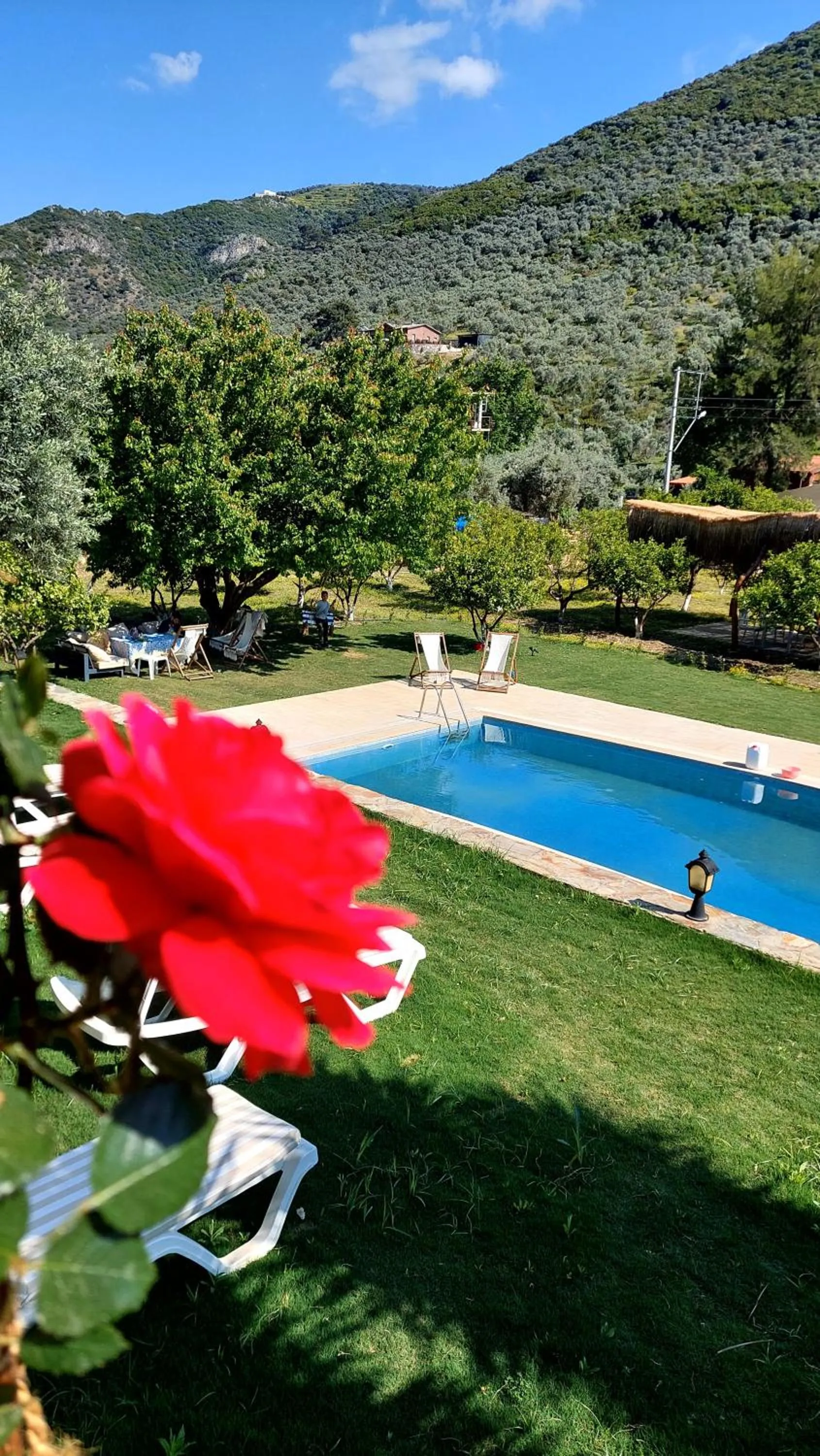 Property building in Pir Efes Konakları