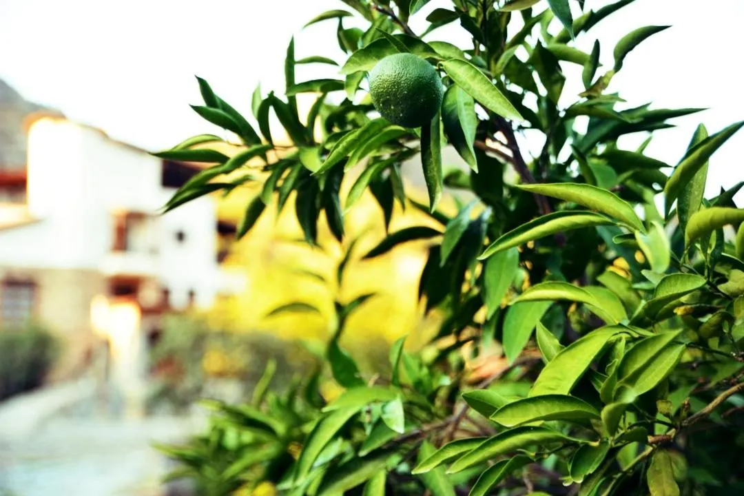 Natural landscape in Pir Efes Konakları