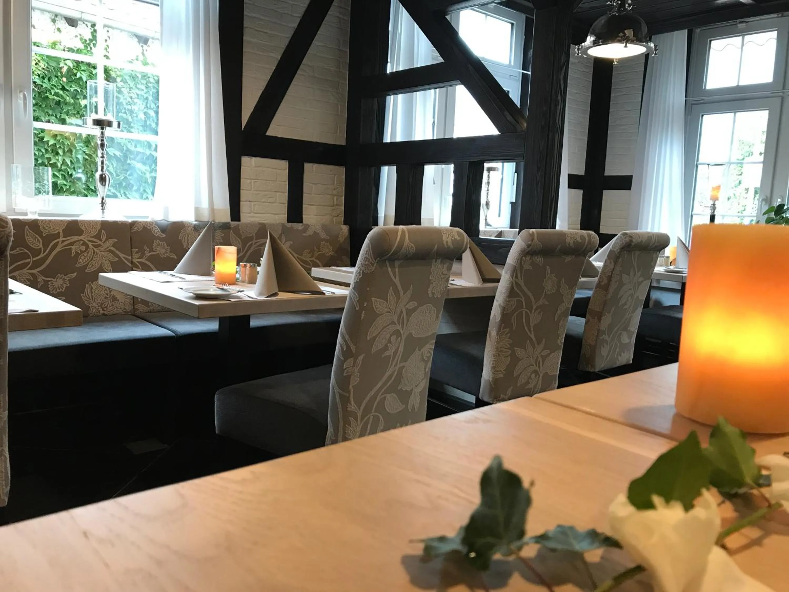 Restaurant/places to eat in Hotel Haase