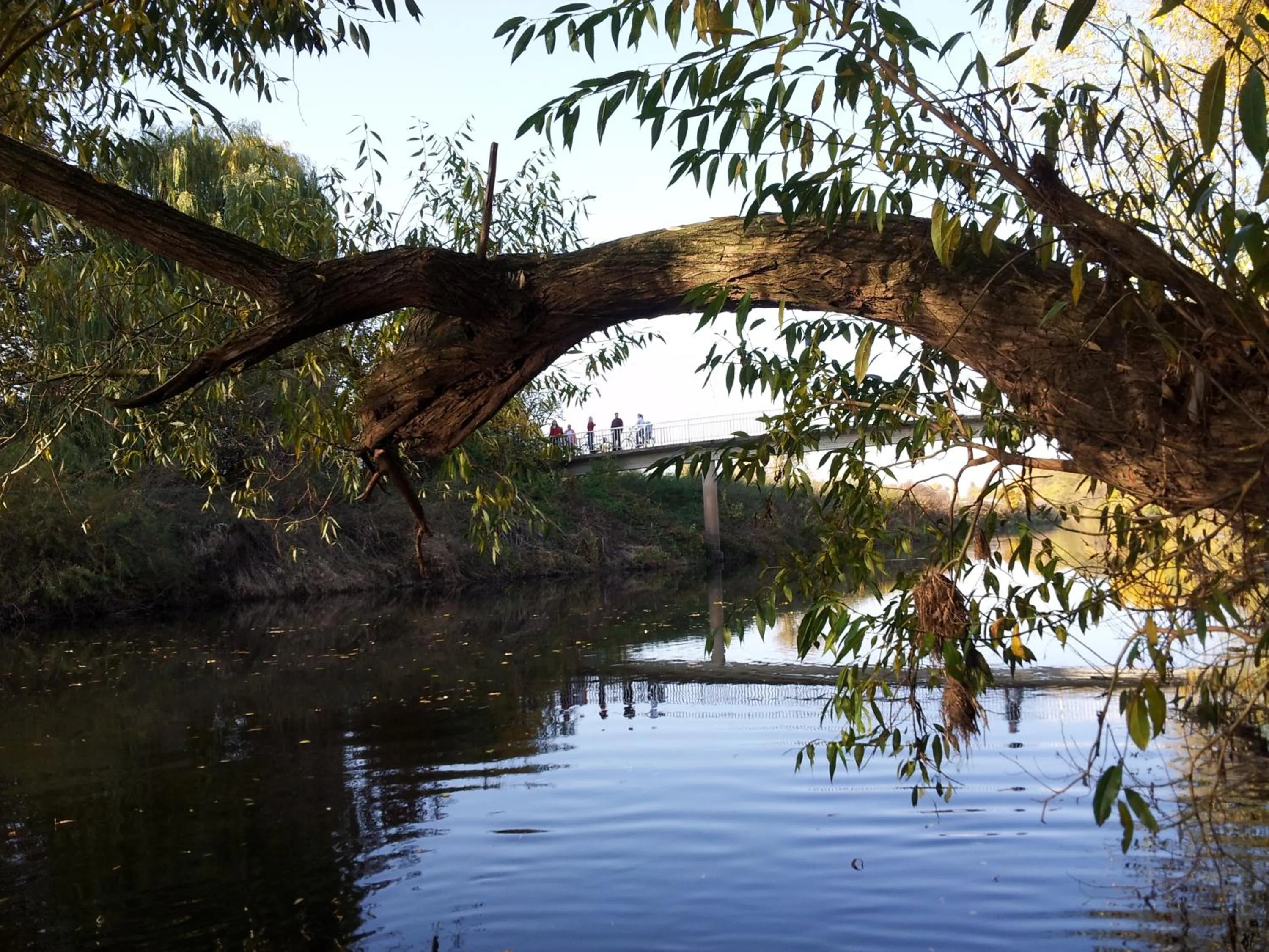 Natural landscape in Hotel Haase