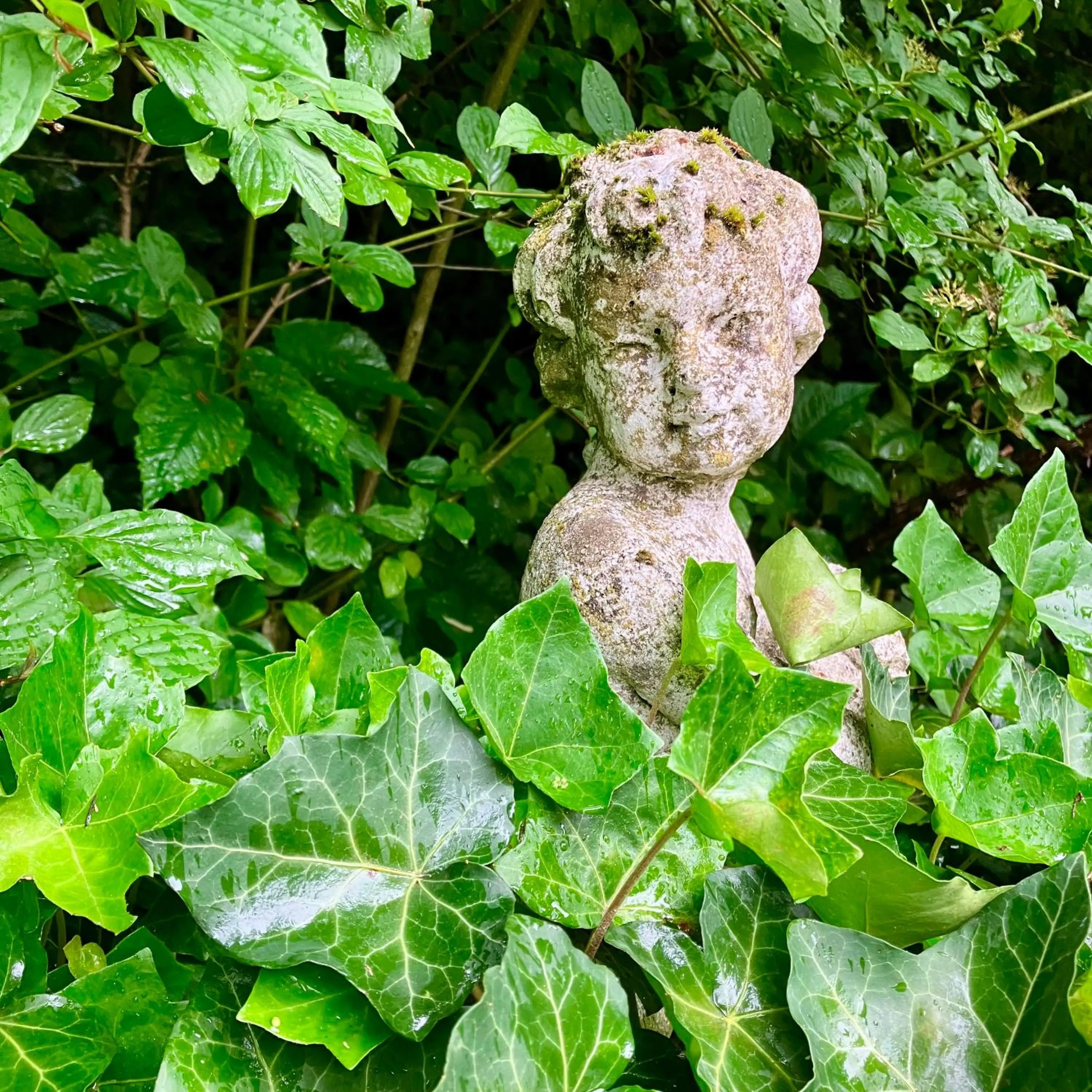 Natural landscape in Gästehaus Alte Liebe