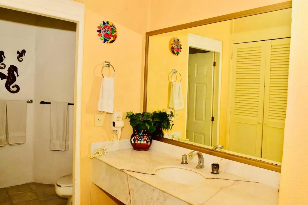 Bathroom in HAB PTa B ÁREA DE VILLAS DENTRO DEL HOTEL Junto al Krystal EN IXTAPA WIFI 2A 1M Con playa