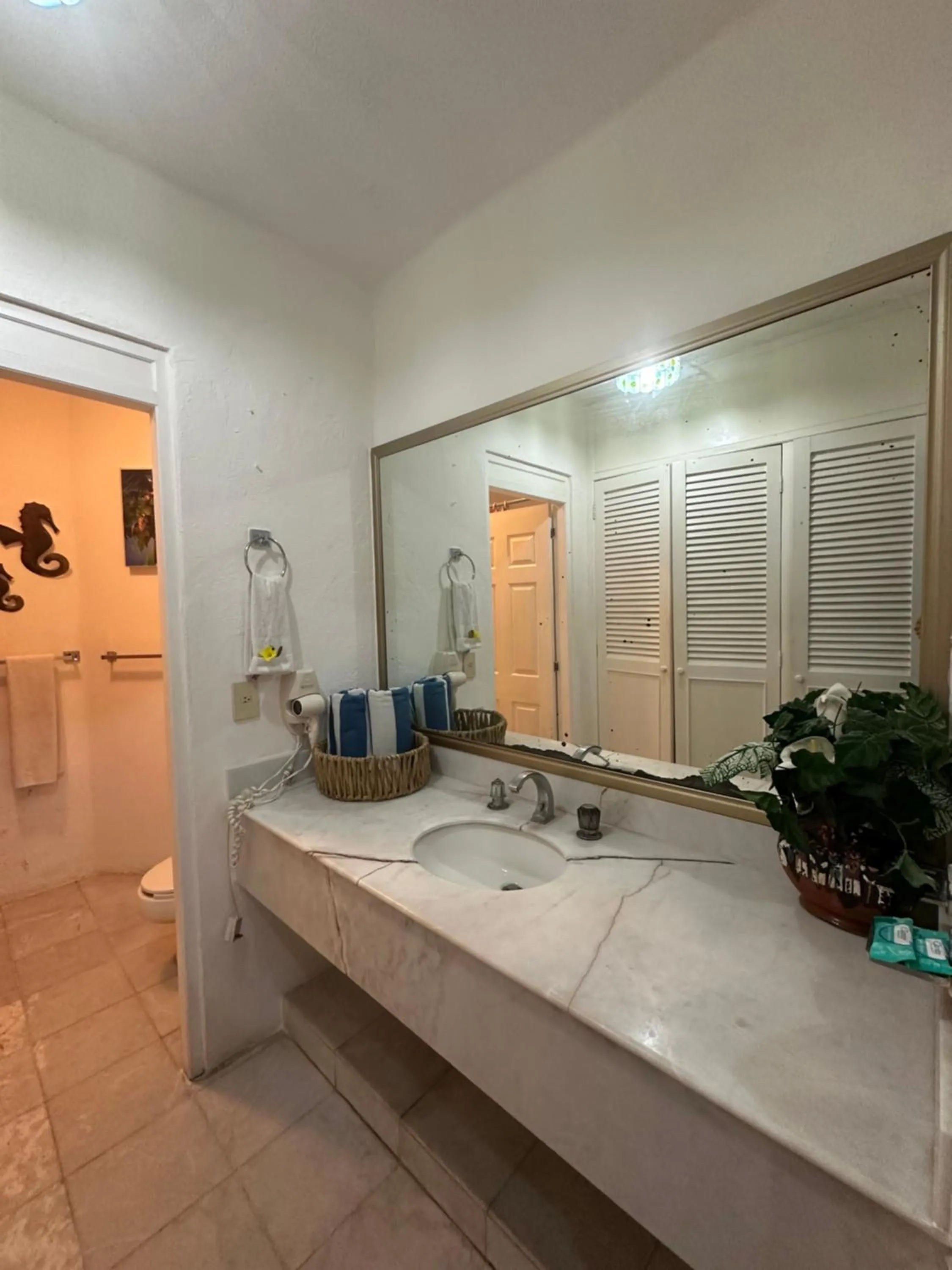 HAB PTa B ÁREA DE VILLAS DENTRO DEL HOTEL Junto al Krystal EN IXTAPA WIFI 2A 1M Con playa