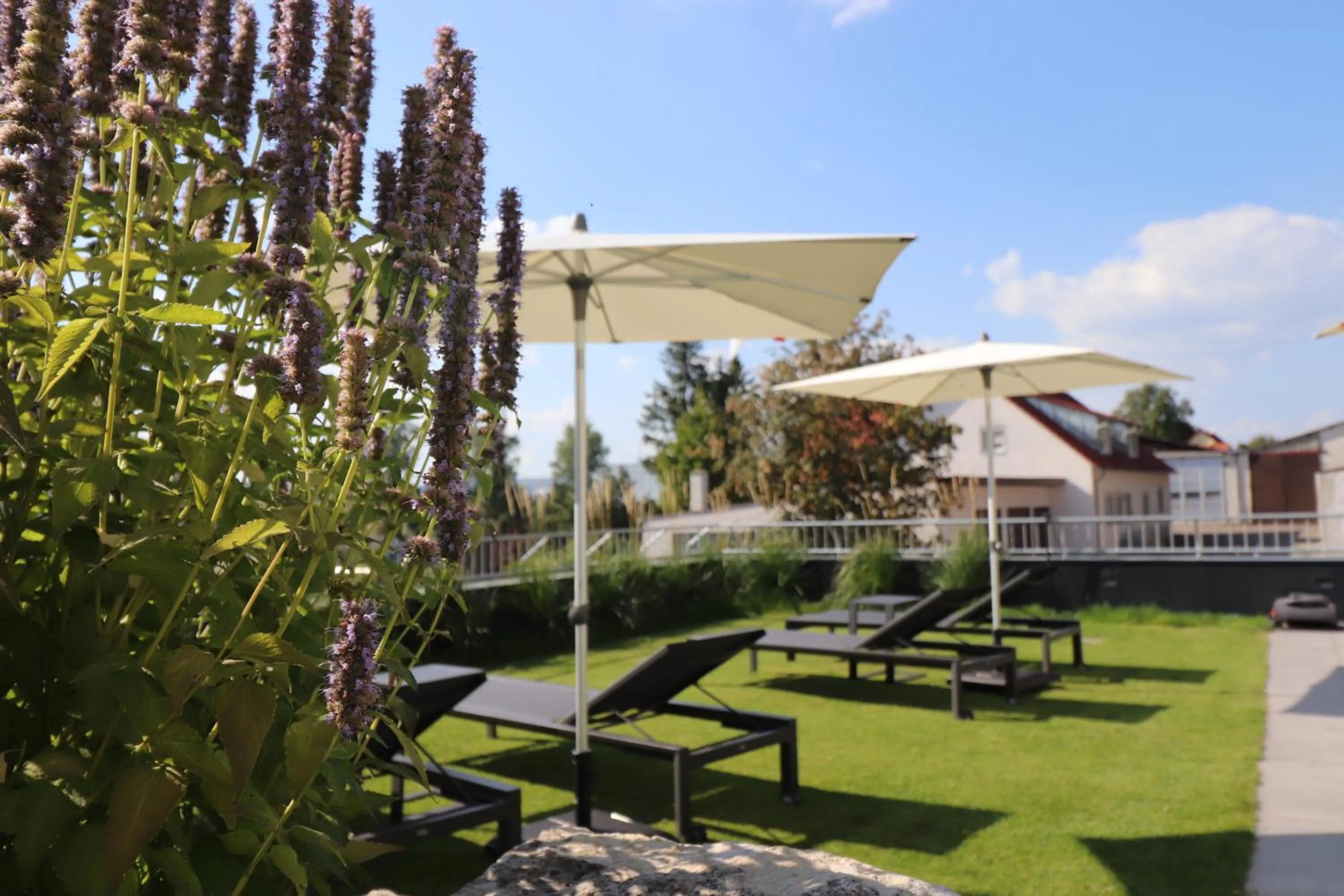 Swimming pool in Landgasthof & Hotel zur Rose Berg