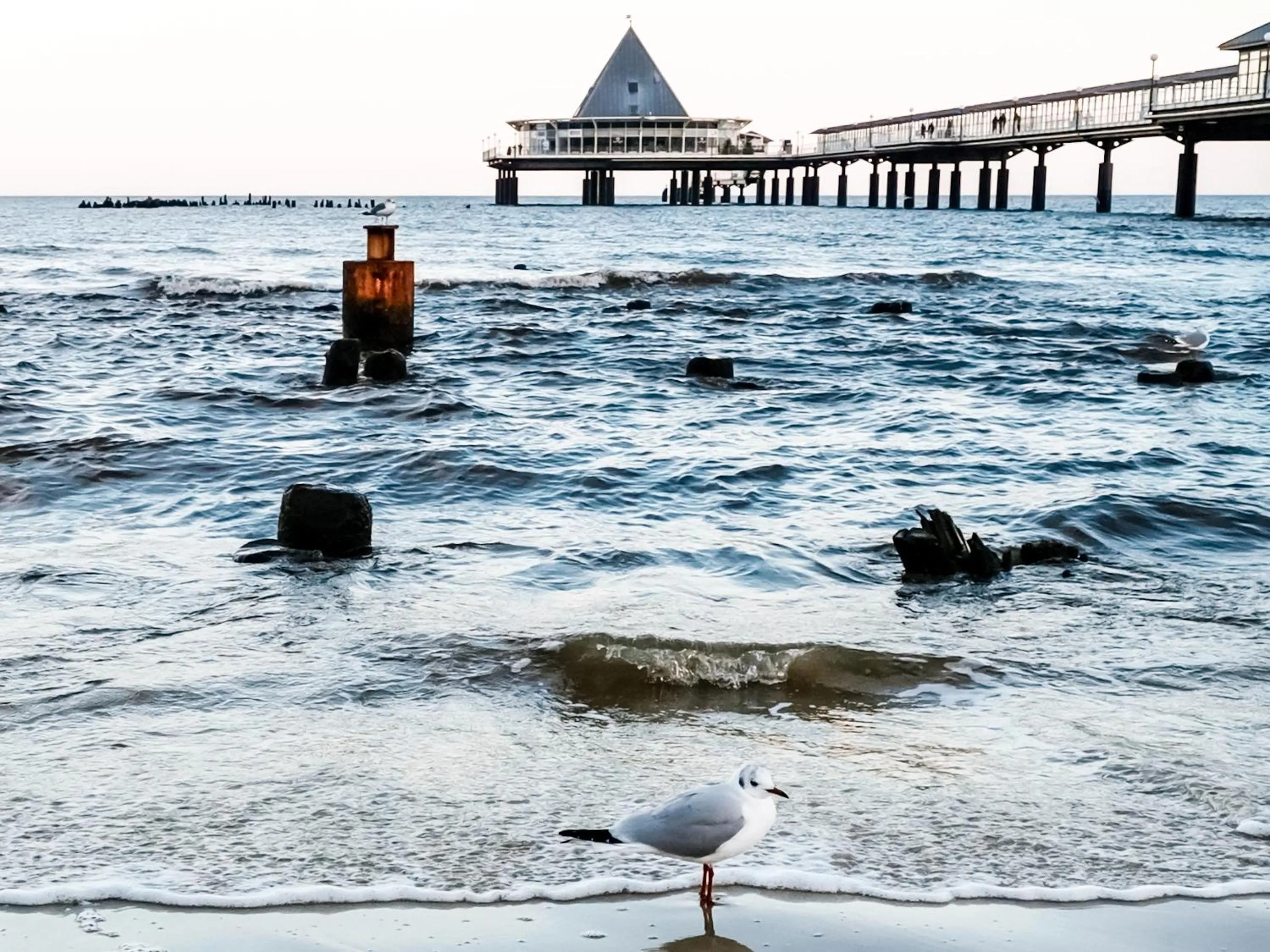 Beach in Meeressterne Hotel Residenz in Heringsdorf
