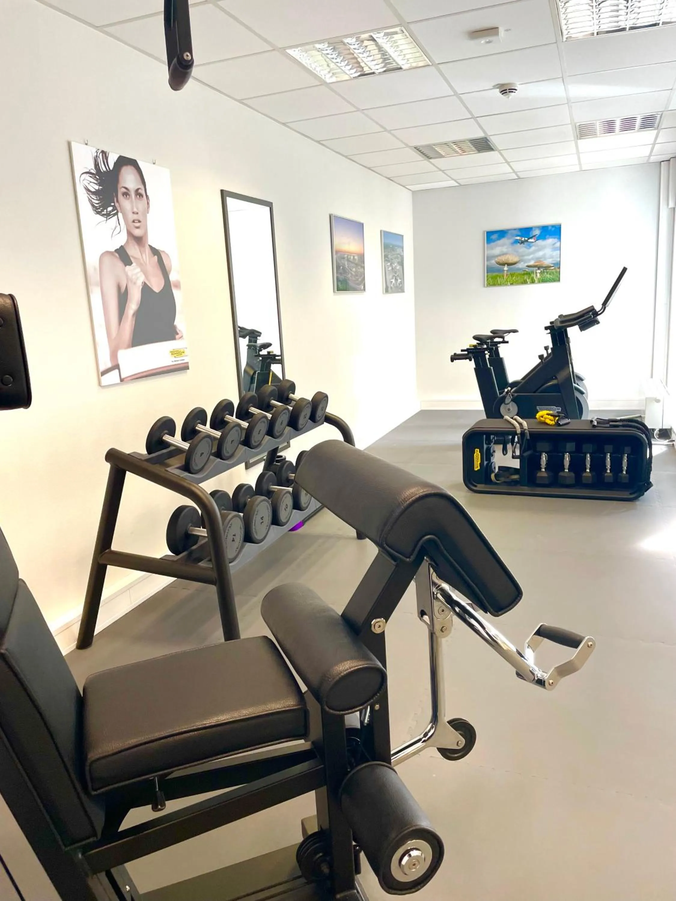 Fitness centre/facilities in Mercure Neu-Isenburg