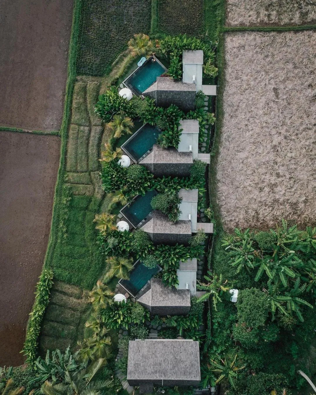 Property building in Lasamana Villas Ubud by GenuineHost