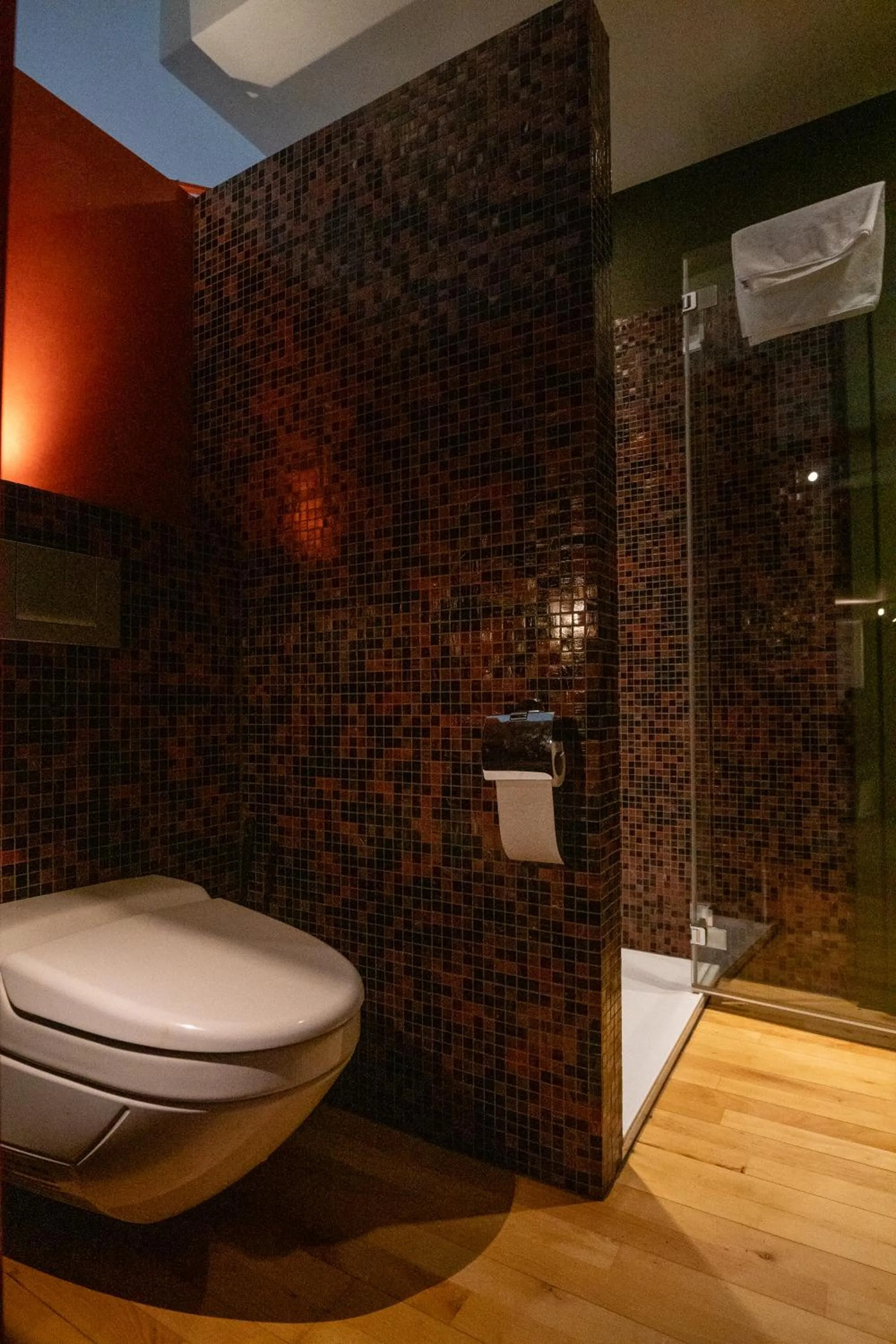 Shower in BnB Belle5