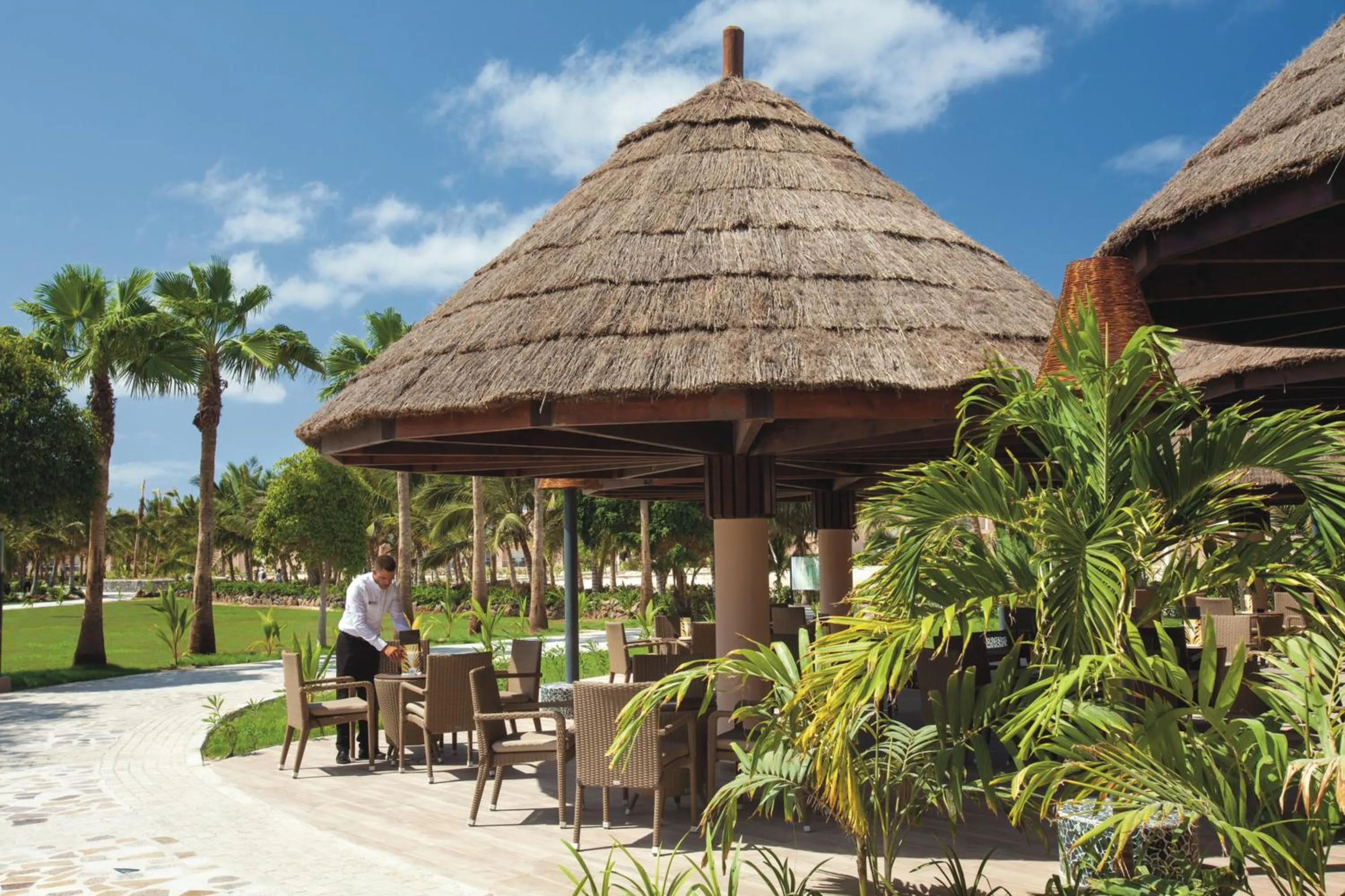 Garden in Hotel Riu Cabo Verde - Adults Only - All Inclusive